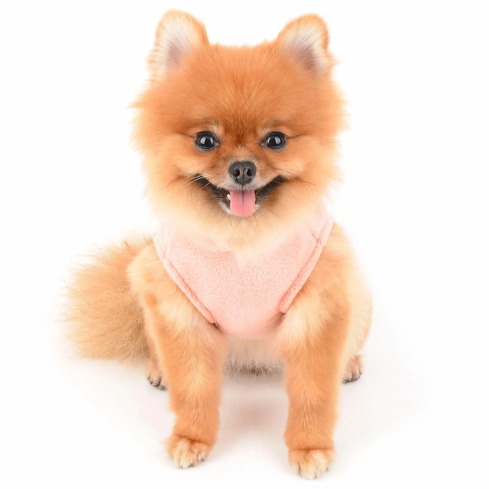 SMALLLEE_LUCKY_STORE Jednolity kolor szczeniak kamizelka polarowa sweter sweter ze smyczą pierścień dla małego psa kota chłopca dziewczyny yorkie chihuahua kotek ciepłe jesienne zimowe ubrania,