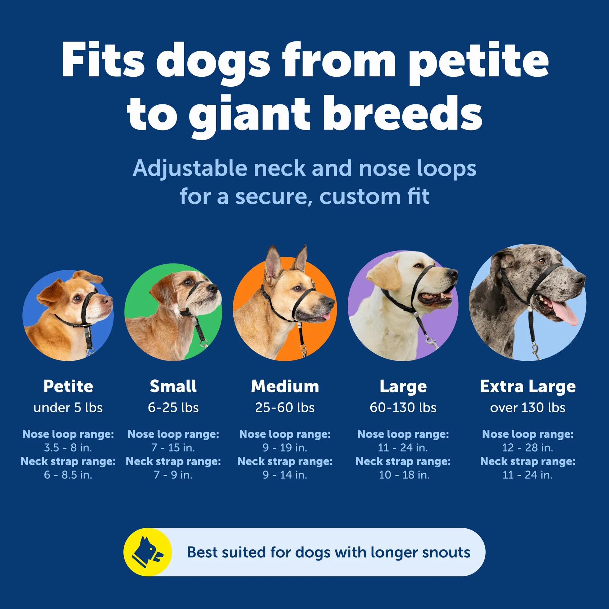 PetSafe Gentle Leader Obroża dla psa bez ciągnięcia – najlepsze rozwiązanie dla psów ciągnących – przekierowuje siłę psa, ułatwiając spacer – pomaga odzyskać kontrolę – L, niebieska (Royal Blue)