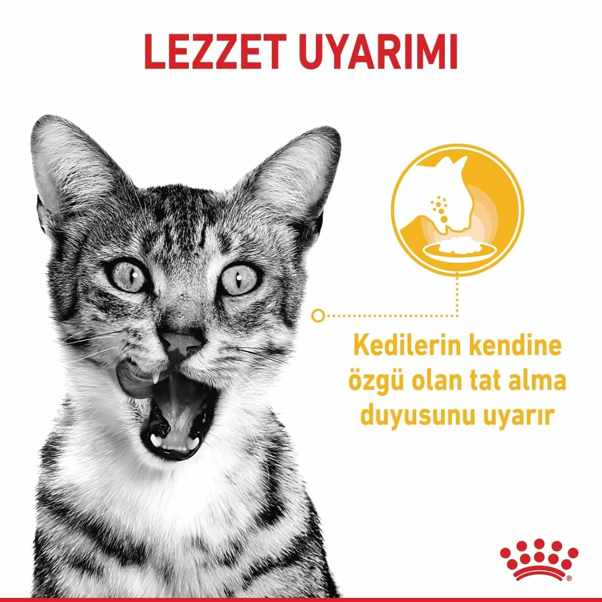 Royal Canin FHN Sensory Taste | Saszetka - kawałki w sosie | 12x85g