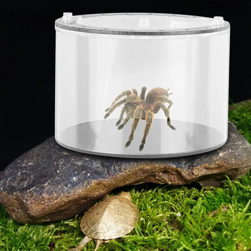 GOTOTOP Akrylowy pojemnik na gady terrarium z pęską do depilacji i pędzelkiem do ślimaków z owadami