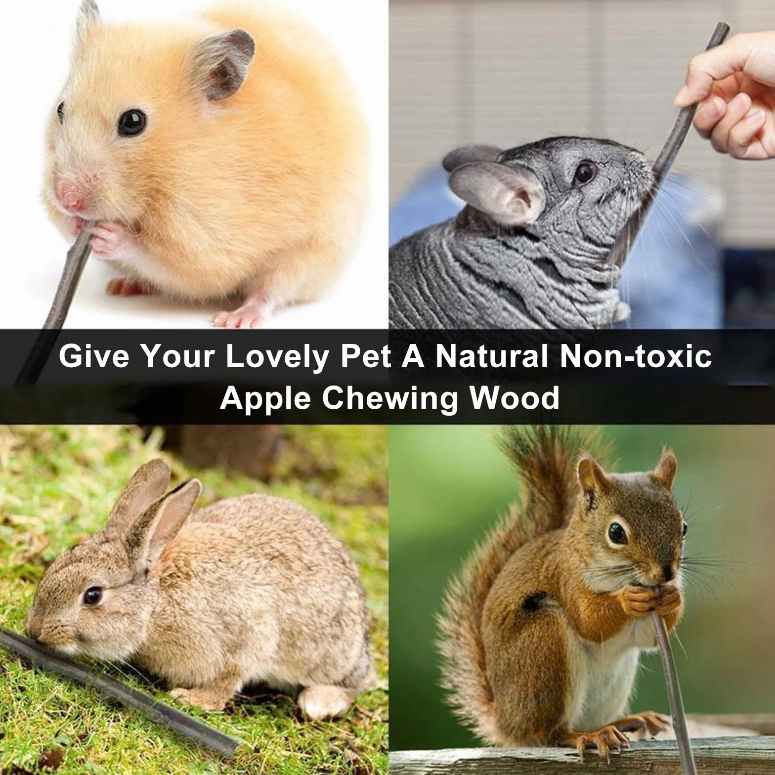 Jabłko do żucia pałeczki, zabawki do żucia jabłek, zabawki dla małych zwierząt, naturalna zabawka do żucia dla małych zwierząt, dla królików, szynszyli, świnki morskiej, chomików