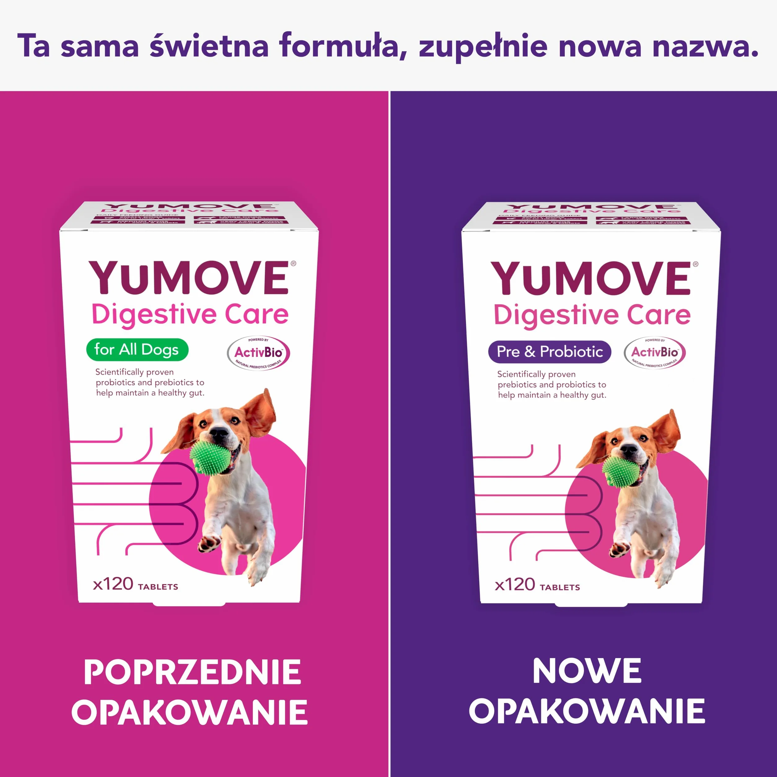 Yumove Pre- I Probiotyk Dla Psów ActivBio - 120 Tabletek Na Jelita | Patent W Toku, 200 M Cultures E. Faecium, Beta-Glukany, Równowaga Flory Jelitowej, Poparte Nauką, Polecane Przez Weterynarzy