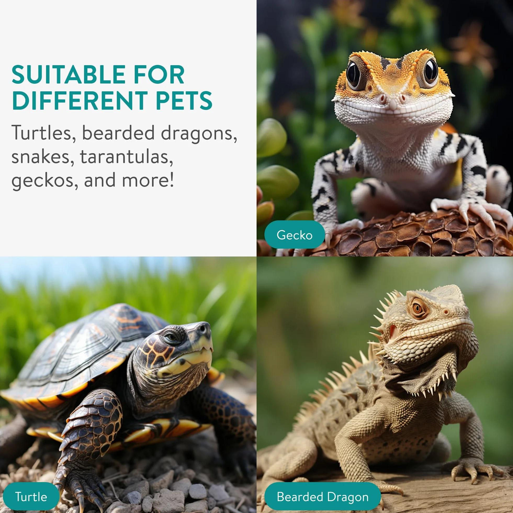 Navaris Dekoracja kaktusa - schronisko do terrarium i akwarium dla żółwi wodnych lub lądowych - Geckos Snakes Tarantule - Akcesoria do żółwi akwariowych z żywicy