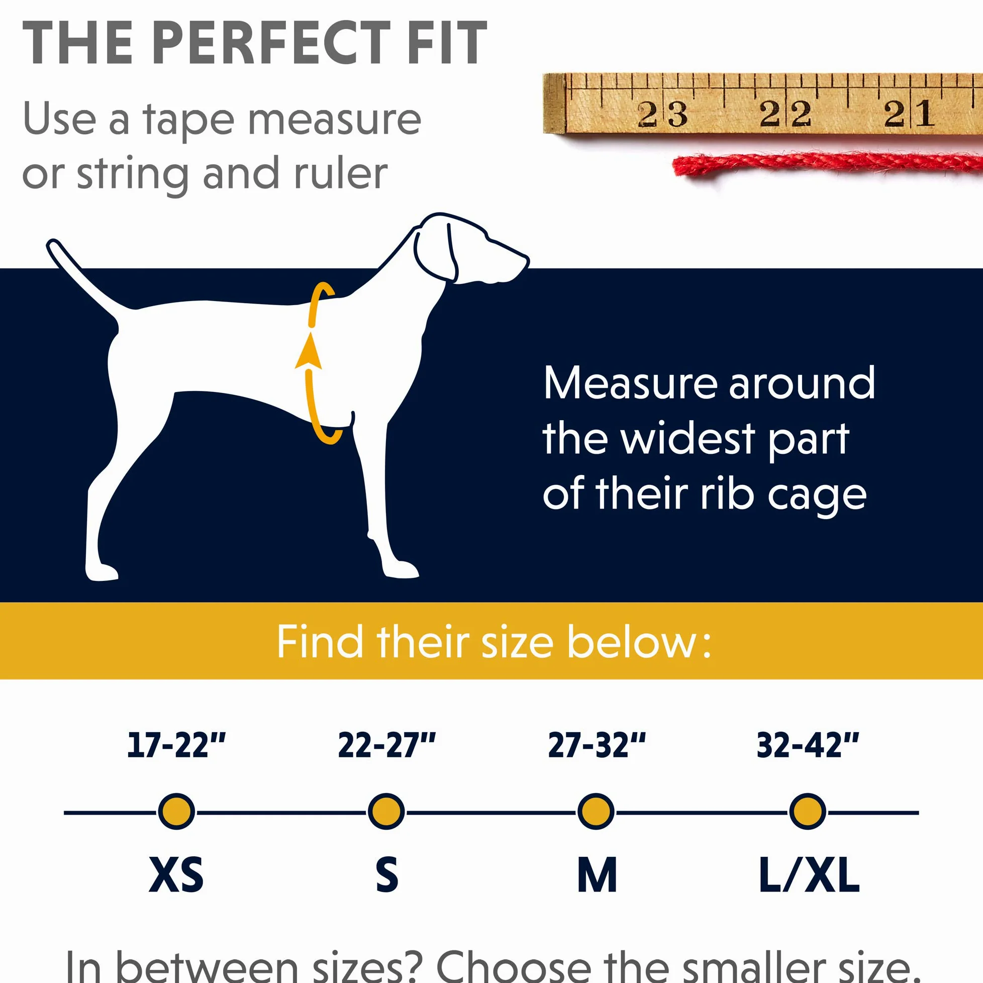 Ruffwear Szelki wspinaczkowe dla psów, bardzo małe rasy, regulowane dopasowanie, rozmiar: XS, Cloudburst Grey, podwójna uprząż