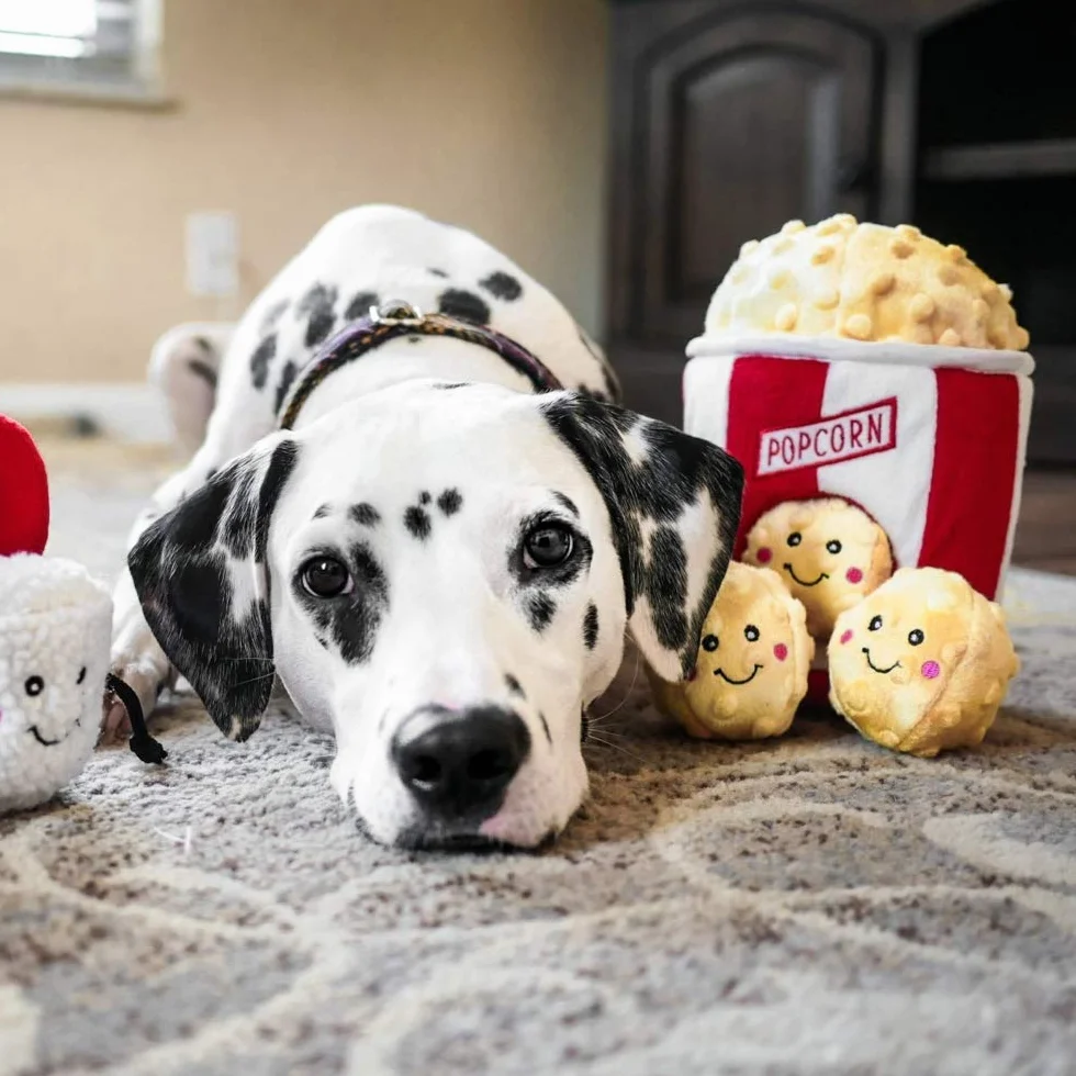 ZippyPaws - Food Buddies Burrow, interaktywna piszcząca pluszowa zabawka dla psa w chowanego - wiadro na popcorn