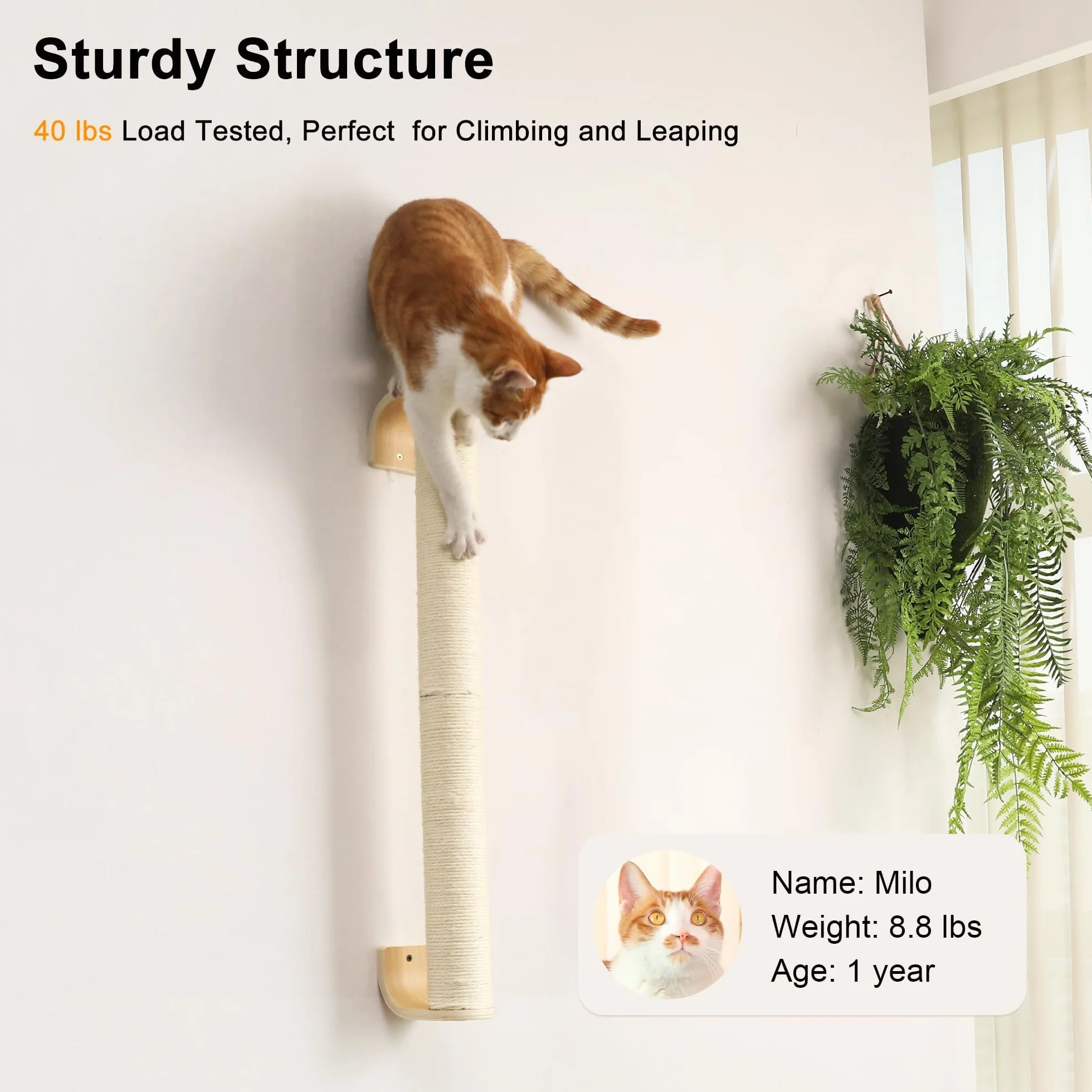 FUKUMARU Drapak dla kotów ścienny 71 cm Naturalny słupek z liny sizalowej