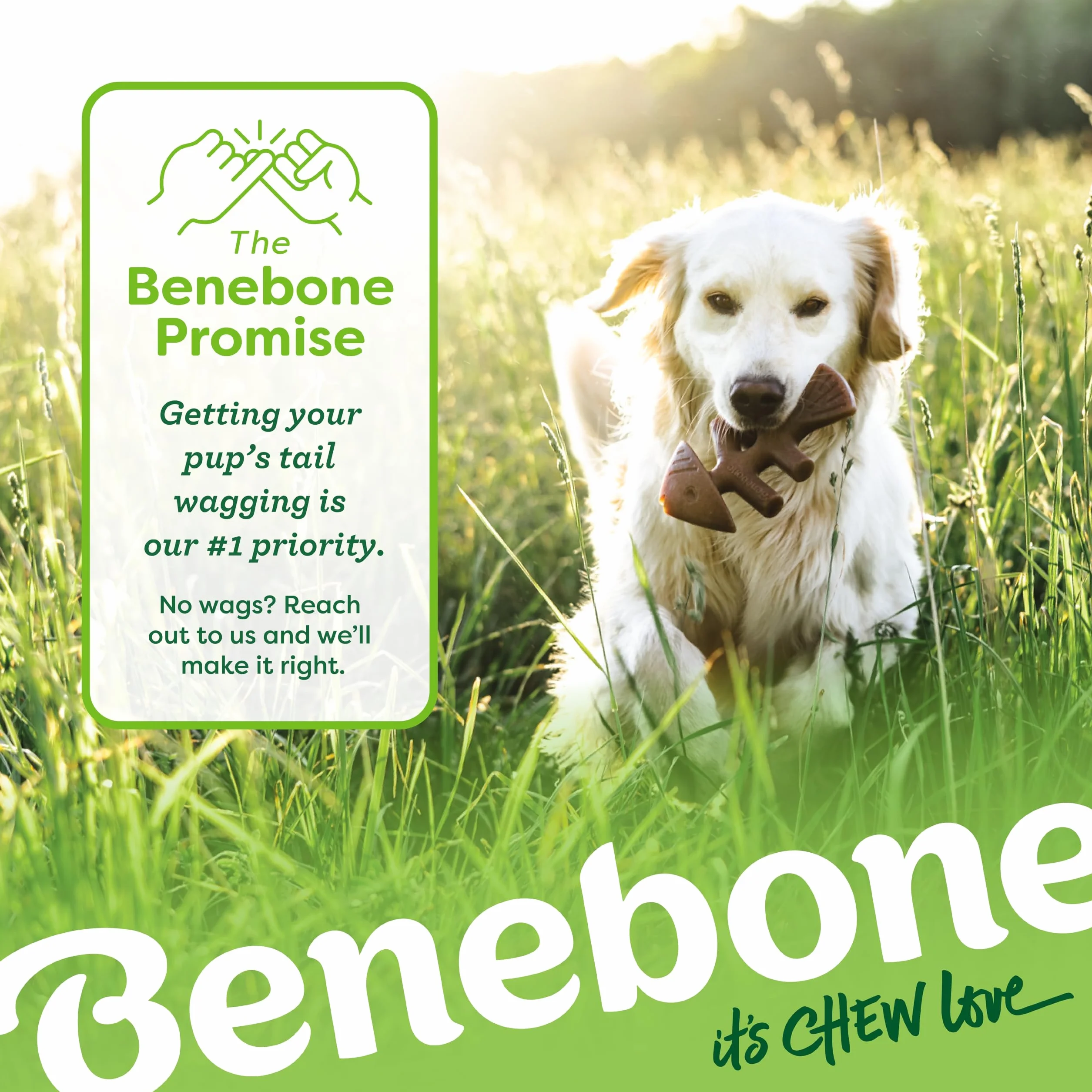 Benebone Niezniszczalne pudełko prezentowe do żucia dla agresywnych gryzaków z wahaczem, rybą kością, kijem i zagglerem, trwałe łamacze nudy, 100% prawdziwe smaki, dla małych psów, wyprodukowano w