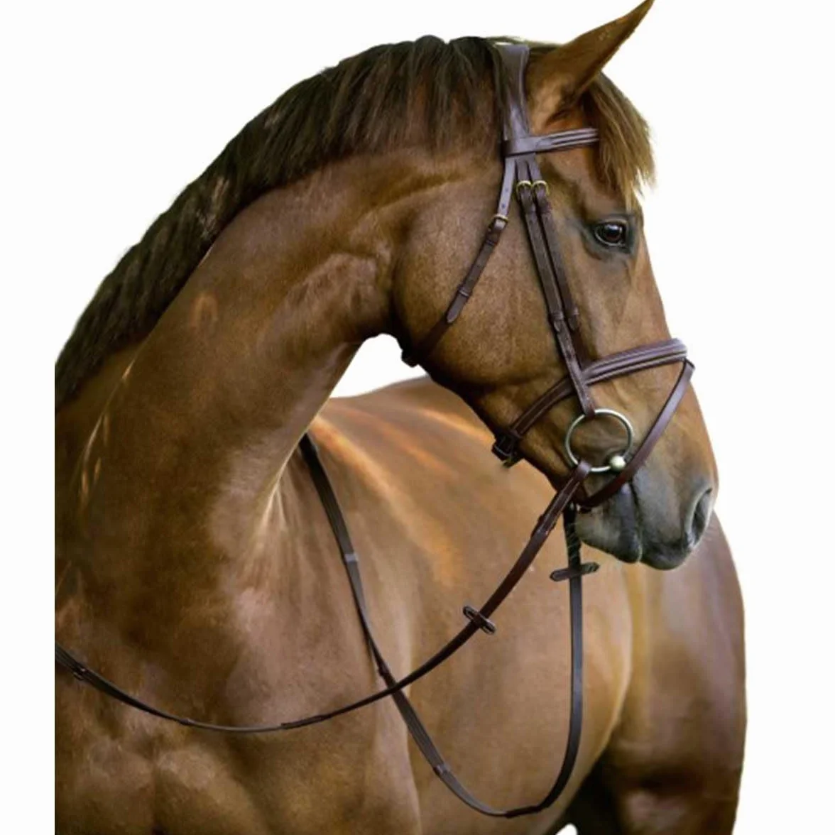 Covalliero Kerbl 326138 Classic Leather Rożen do trensensu, czarny, Cob