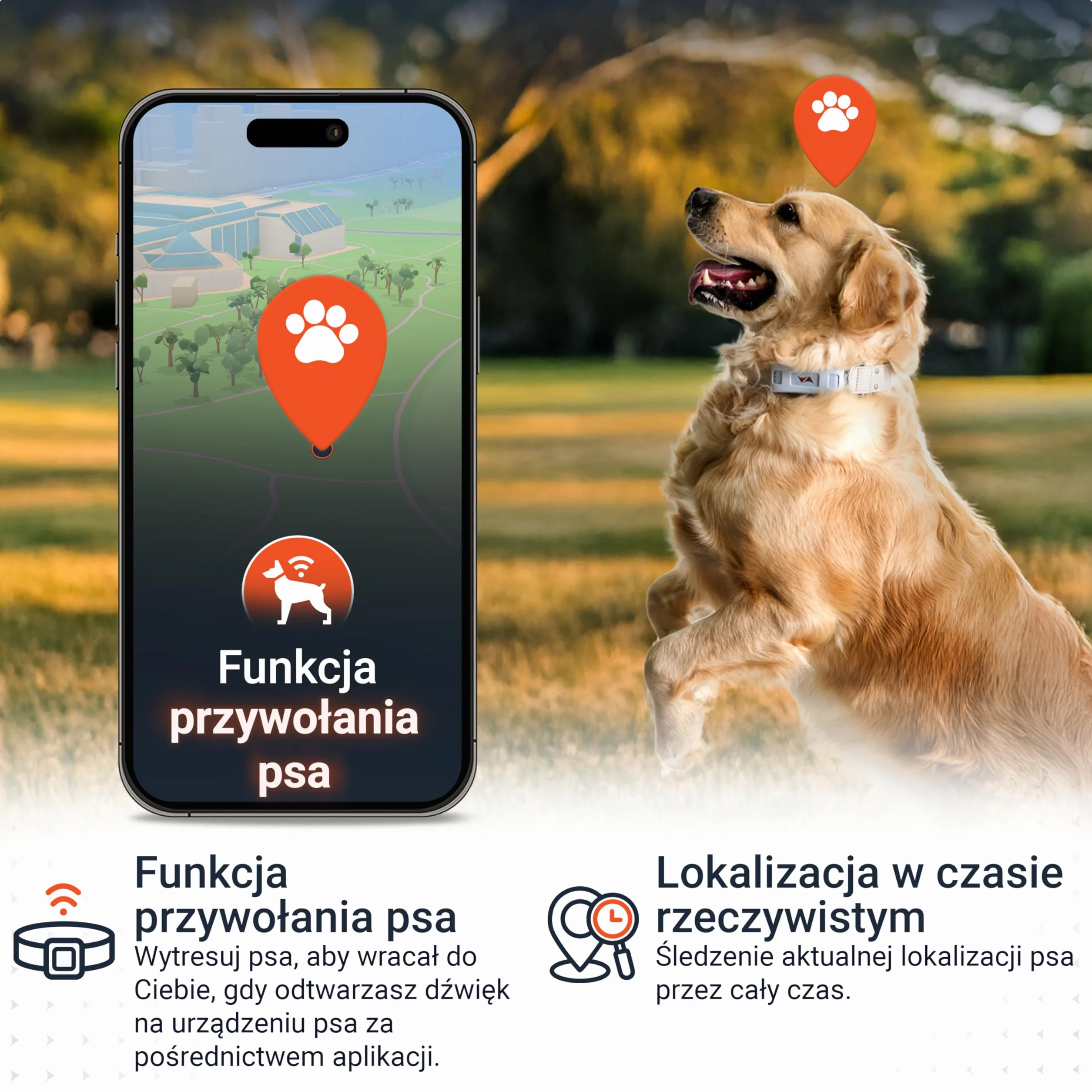PAJ GPS Tracker dla Psów - 4G + 3-Miesięczny Abonament Premium W Cenie - Śledzenie GPS na Całym Świecie, Bateria do 10 Dni, LED, Wodoodporny, Pasuje do Wszystkich Obroży - Niebieski