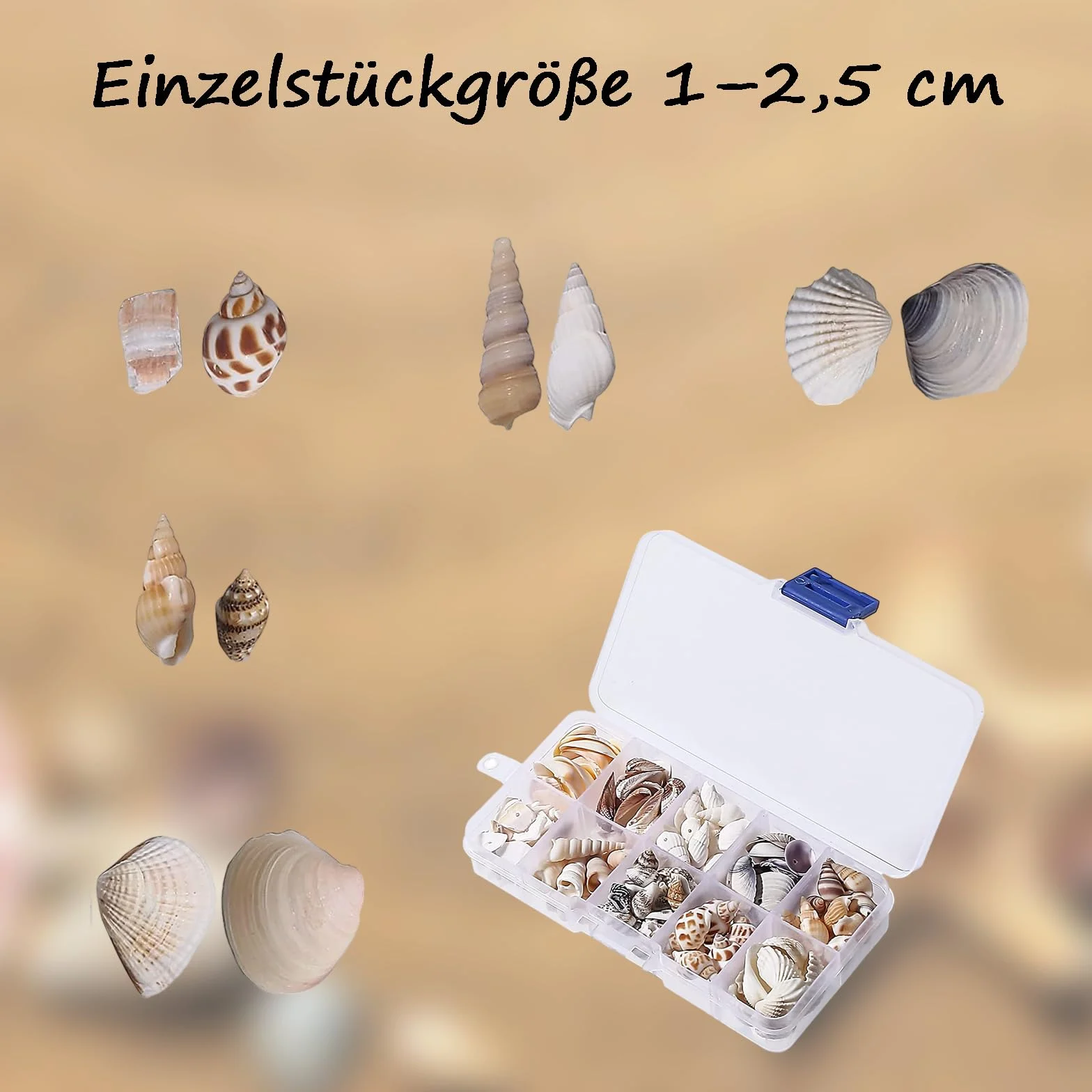 150-200 sztuk mieszane muszle, muszle plażowe, muszle morskie, mieszane muszle oceaniczne, plażowe, dekoracja weselna, akwarium, wypełniacz wazonu