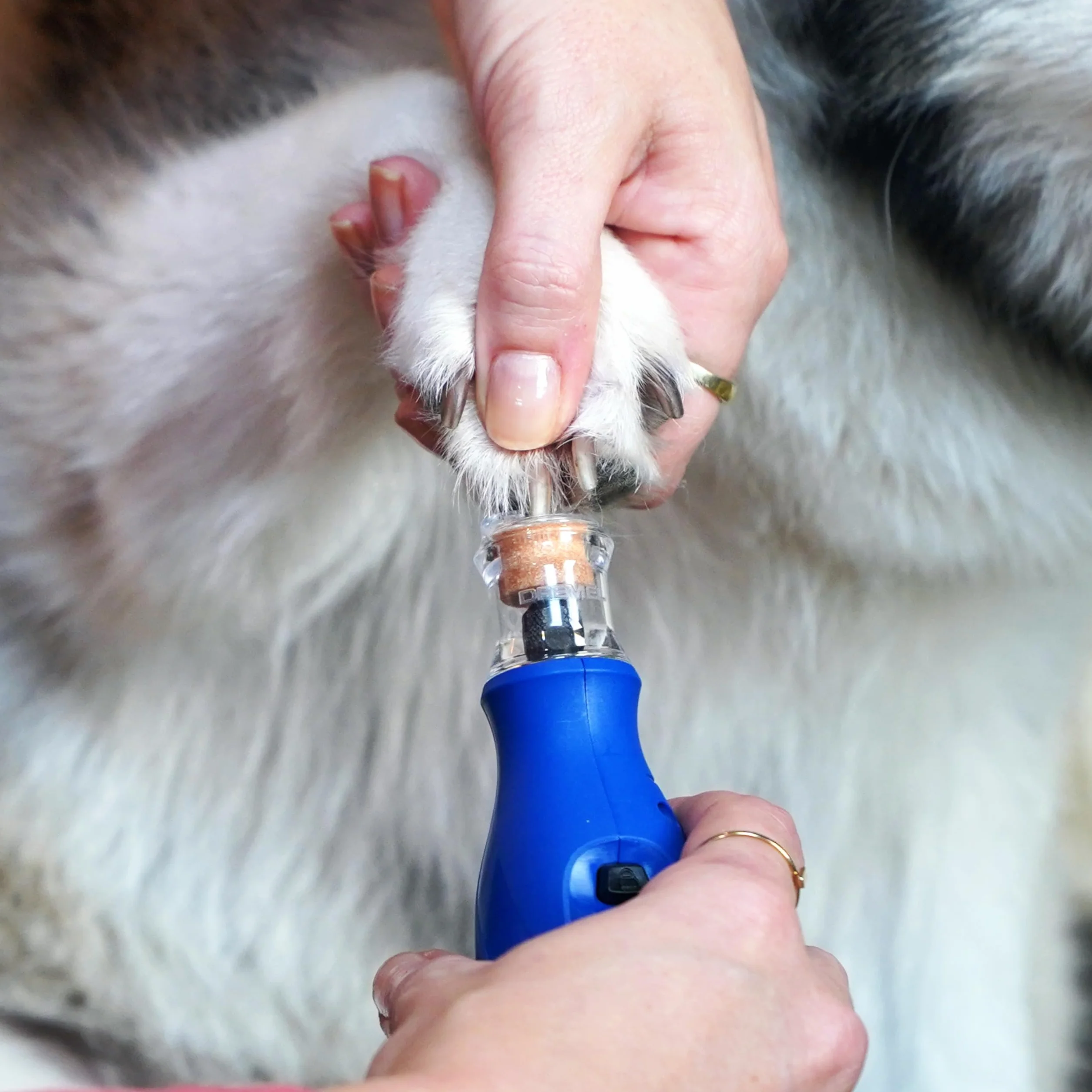 Dremel Urządzenie do Pielęgnacji Pazurów 7350 PET