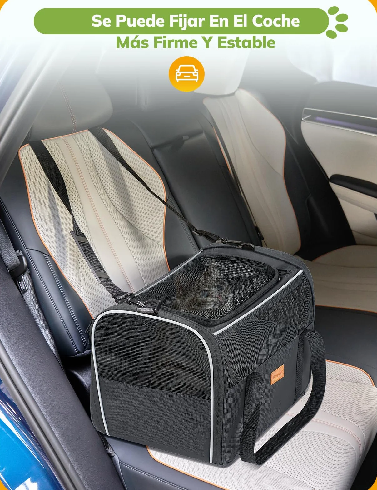 Morpilot Pudełko transportowe dla kotów i szczeniaków do 5 kg, torba dla psów z zabezpieczającymi zamkami błyskawicznymi, skrzynka transportowa dla kotów i psów, do przejścia do weterynarza, do