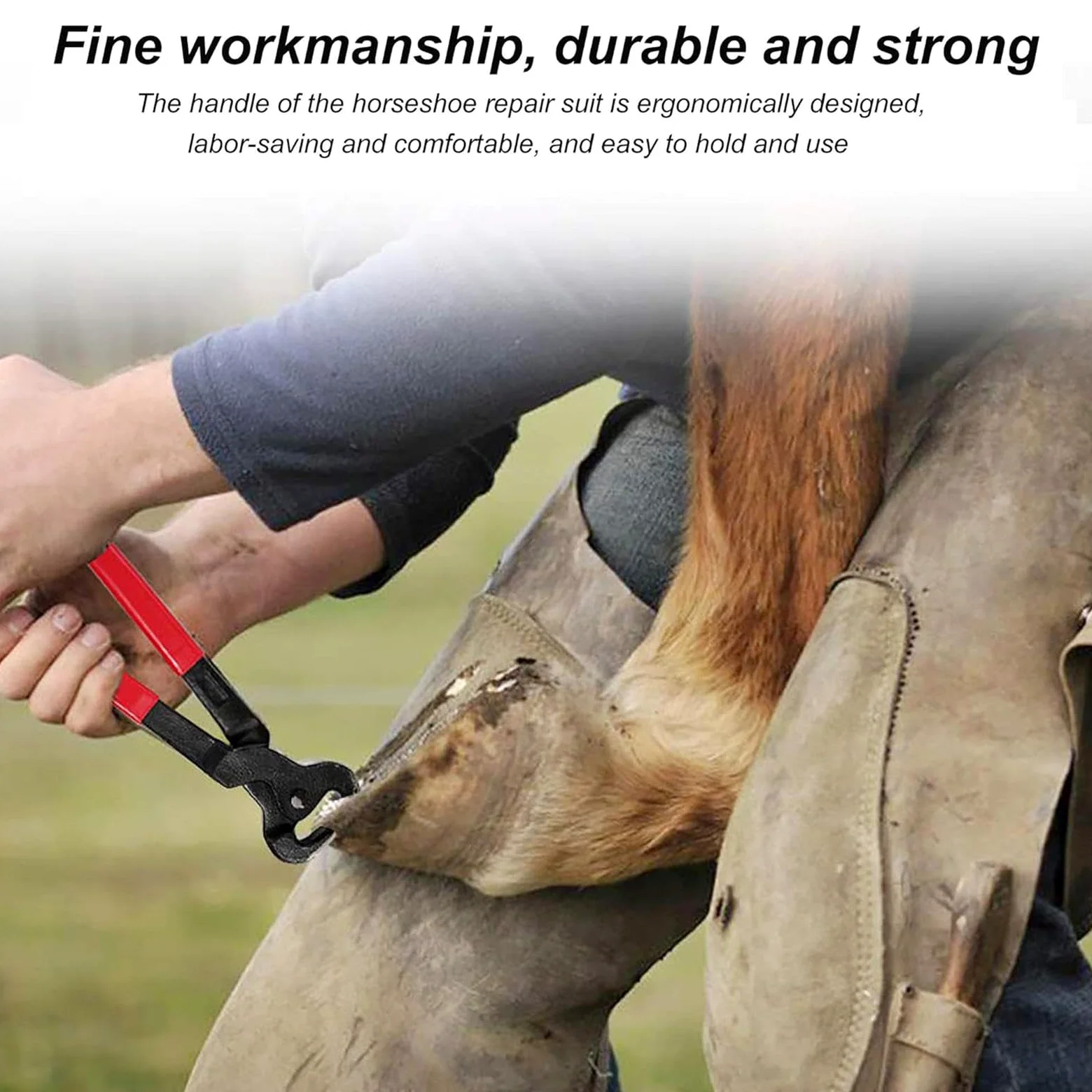 3 Szt. Zestaw Narzędzi Horse FarrHorse Farrier, Szczypce Do Podków, Narzędzie Do Przycinania Podków, Odpowiednie Dla Koni/osłów, Zestaw Tarników Do Kopyt Narzędzia Kowalskie