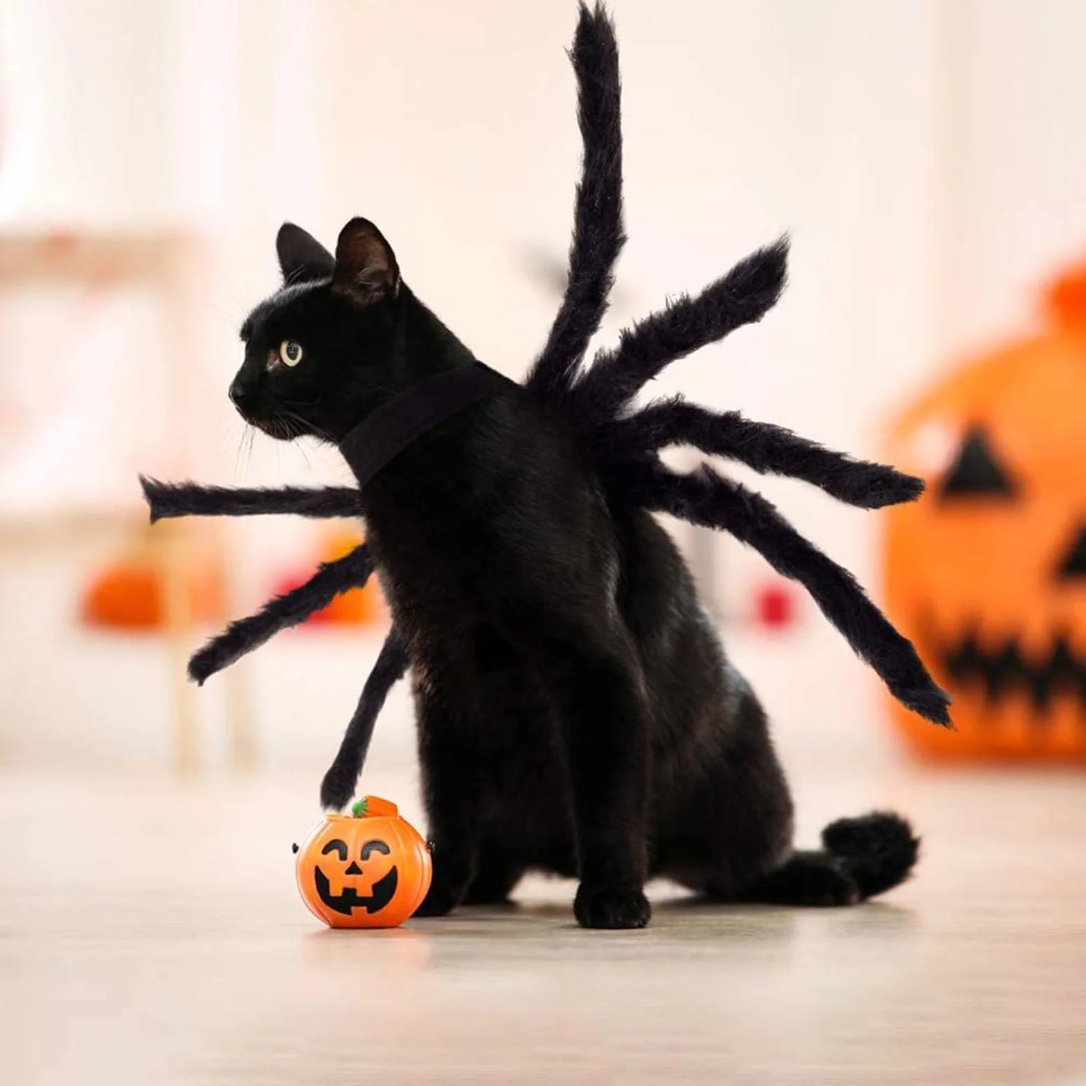 Kostium pająka na Halloween, filcowy kostium psa, kostium pająka, dekoracja na urlop, Halloween, pluszowy pająk, kostium dla małych i średnich psów i kotów, regulowany, czarny