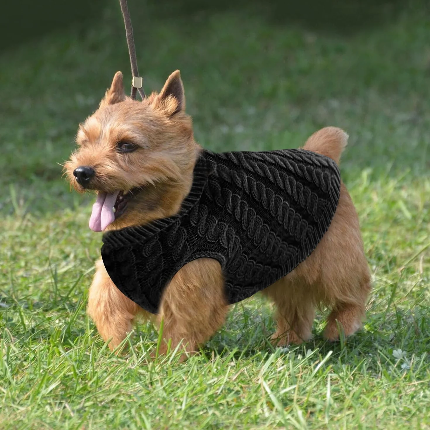 Voarge Sweter dla psa do robienia na drutach, sweter z dzianiny ciepły sweter, odzież zimowa dla psów, rozmiar buldog francuski, Chihuahua jamnik (czerwony, M)