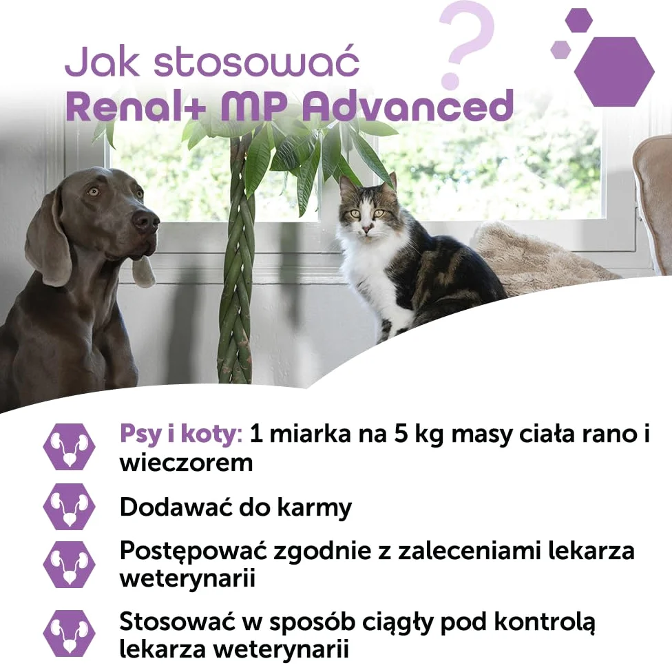 MP Labo Renal + MP Advanced 40 g zdrowie nerek dla psów i kotów