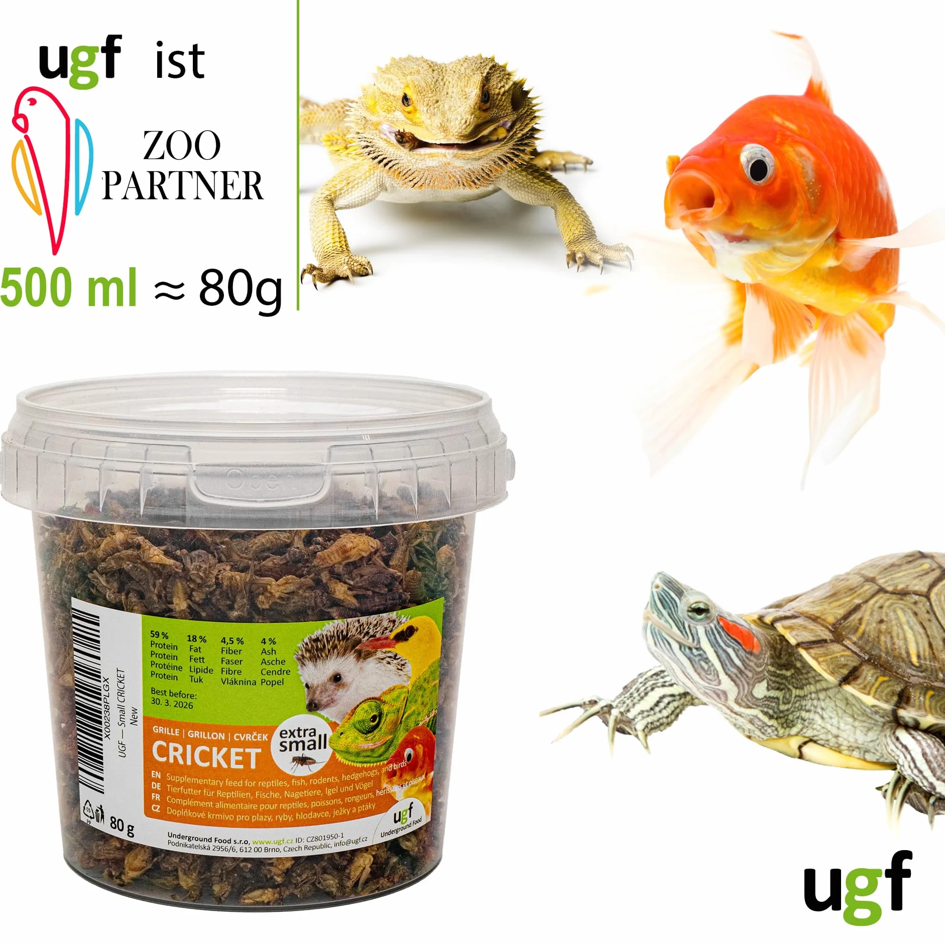 UGF - Suszone małe świerszcze - 80 g w wiaderku 500 ml, Owady świerszcze, Karma dla ptaków dzikich (całoroczna), Karma dla żółwi, Karma dla jeży, Karma dla jaszczurek, Karma dla ryb