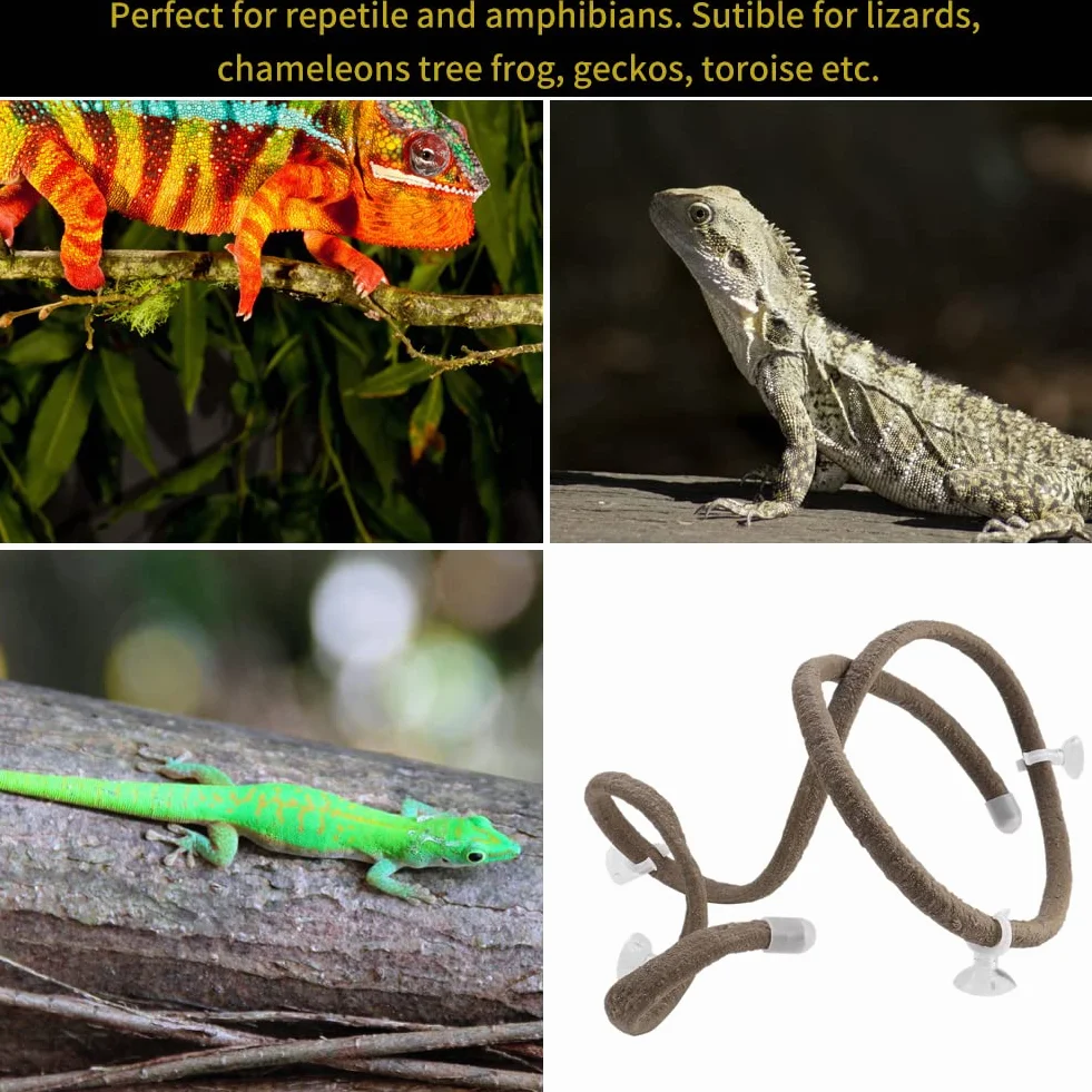 Gałąź wspinaczkowa dla gadów 4,92 stopy Elastyczny gad Jungle Vines Terrarium Rattan Pet Habitat Decor z przyssawkami dla jaszczurek Wspinaczka po gekonach (L)