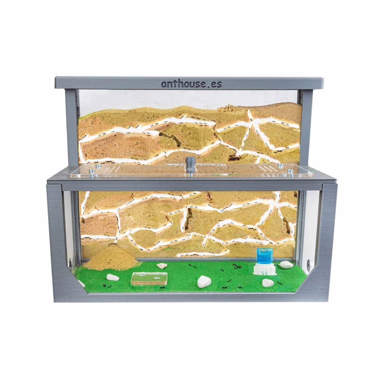 AntHouse Farma mrówek z naturalnego piasku, zestaw L (kanapka + pudełko na paszę) | 3D Ant Hill | kolor szary