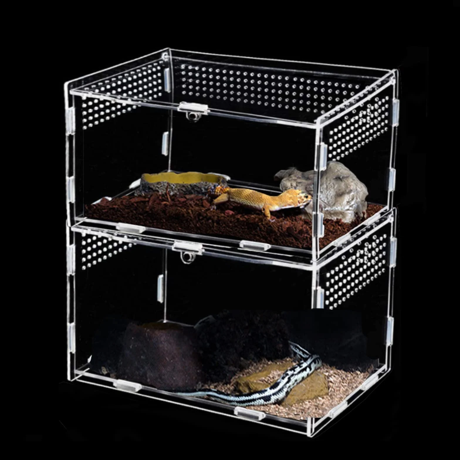Mini Terrarium - Akrylowe Przezroczyste Pudełko Transportowe na Ślimaki, Pająki, Gekony, Chomiki, Węże, Żółwie - Przenośne dla Gadów, Karmienie Owadów