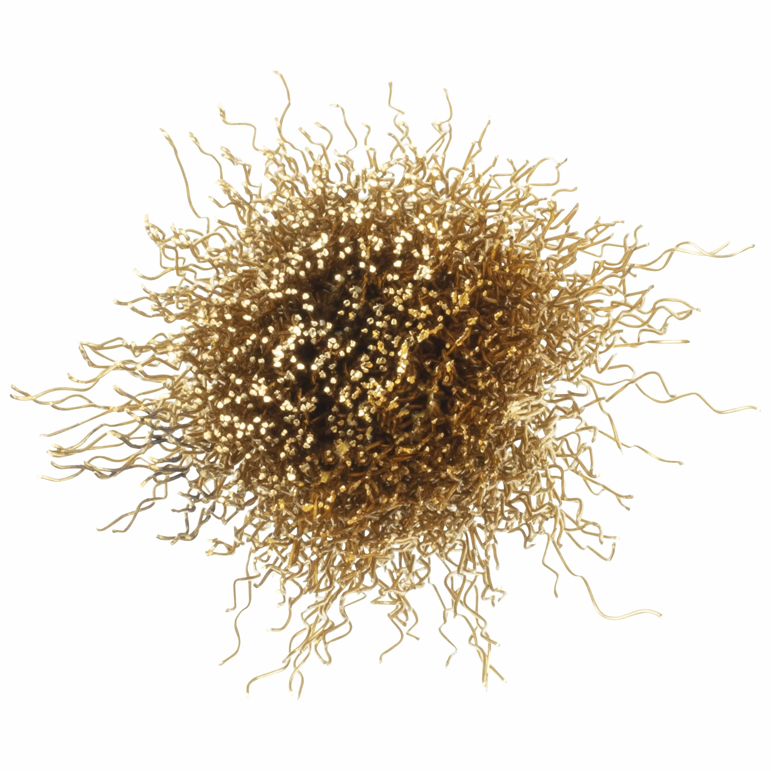 Wolfcraft 2738000 (L) cepillo laton en forma de brocha, vastago heksagonal 1/4 cala (6,35 mm), opakowanie 1, zielony
