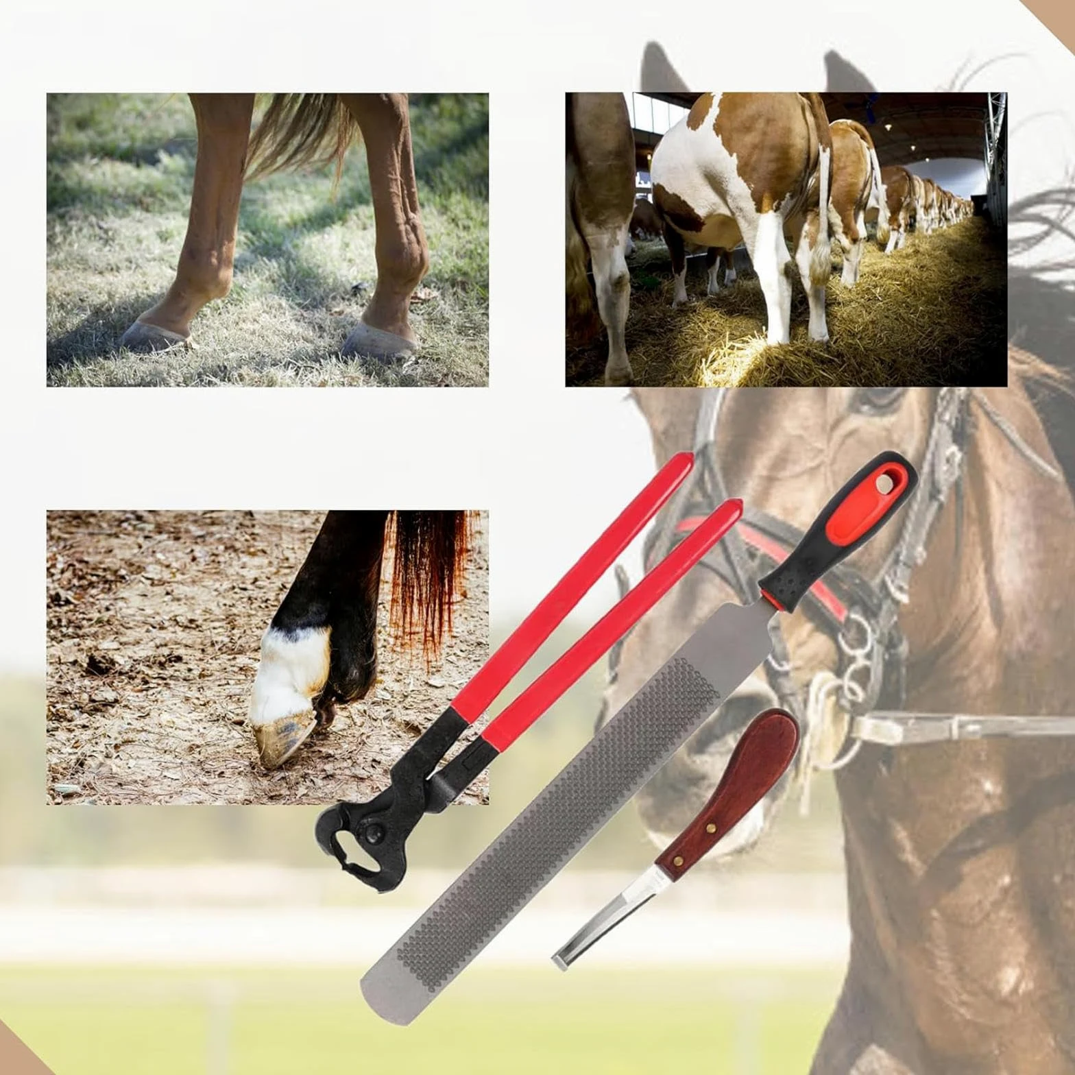 3 Szt. Zestaw Narzędzi Horse FarrHorse Farrier, Szczypce Do Podków, Narzędzie Do Przycinania Podków, Odpowiednie Dla Koni/osłów, Zestaw Tarników Do Kopyt Narzędzia Kowalskie