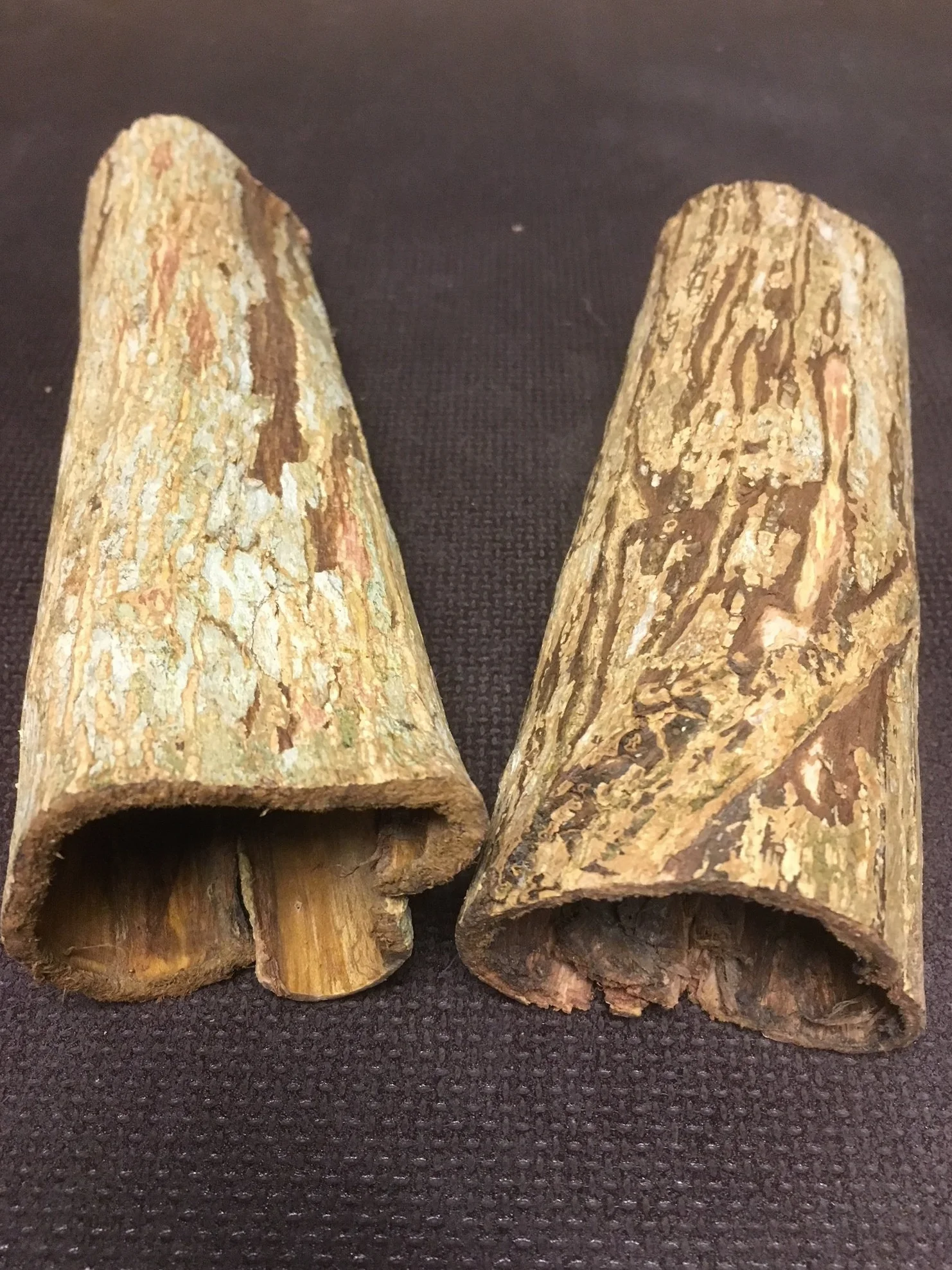 2 duże zagłębienia cudownej broni, indyjskie drzewo migdałowe dla koneserów (średnica 3-4 cm, długość 15-20 cm, łącznie ponad 100 g) dekoracyjna odżywka do wody, rurki z kory Catappa