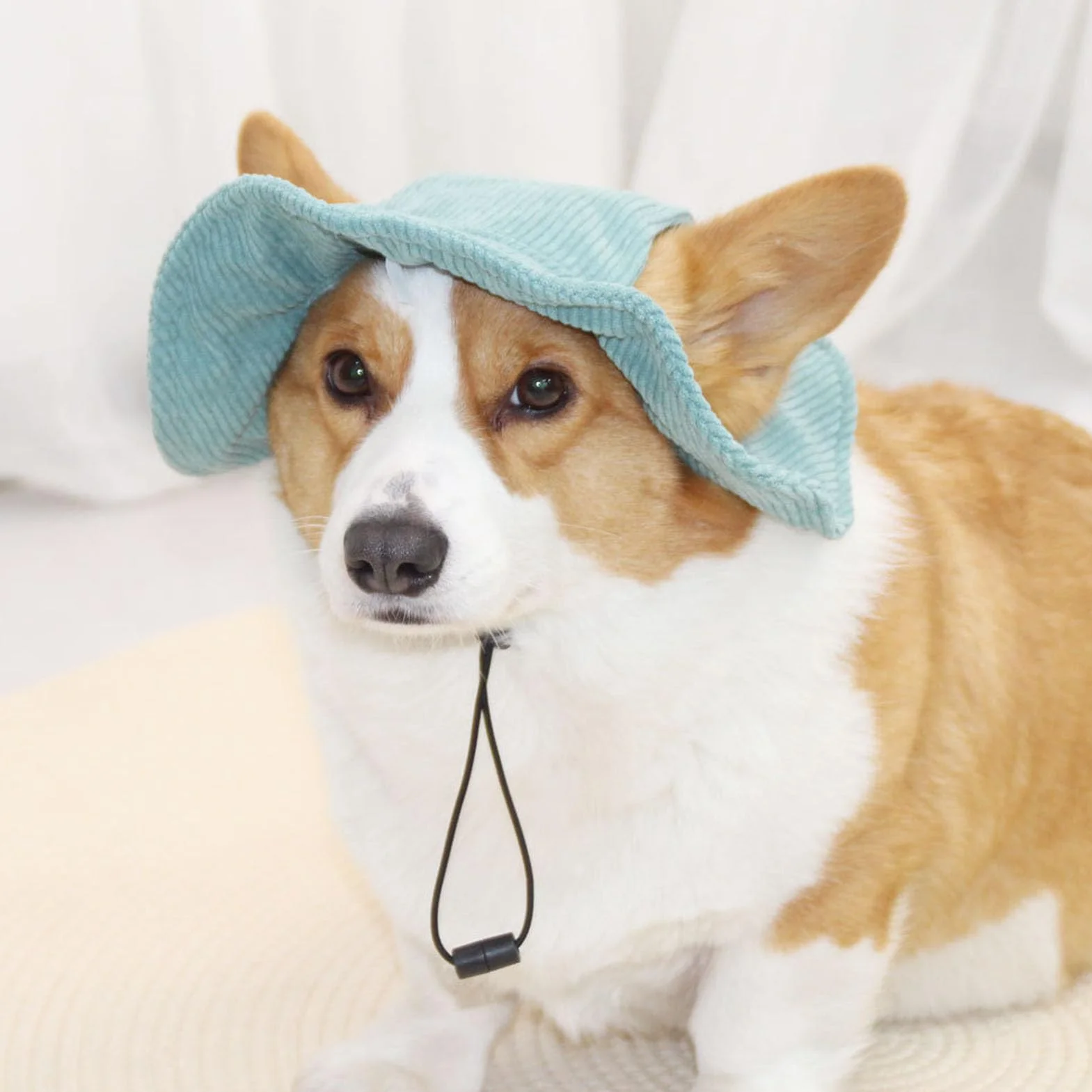 Czapka z Daszkiem dla Psa Czapka z Daszkiem Ochrona Przed Słońcem Miękka, Wygodna, Lekka, Słodka Czapka z Otworami na Uszy dla Psów Kotów (Zielony)