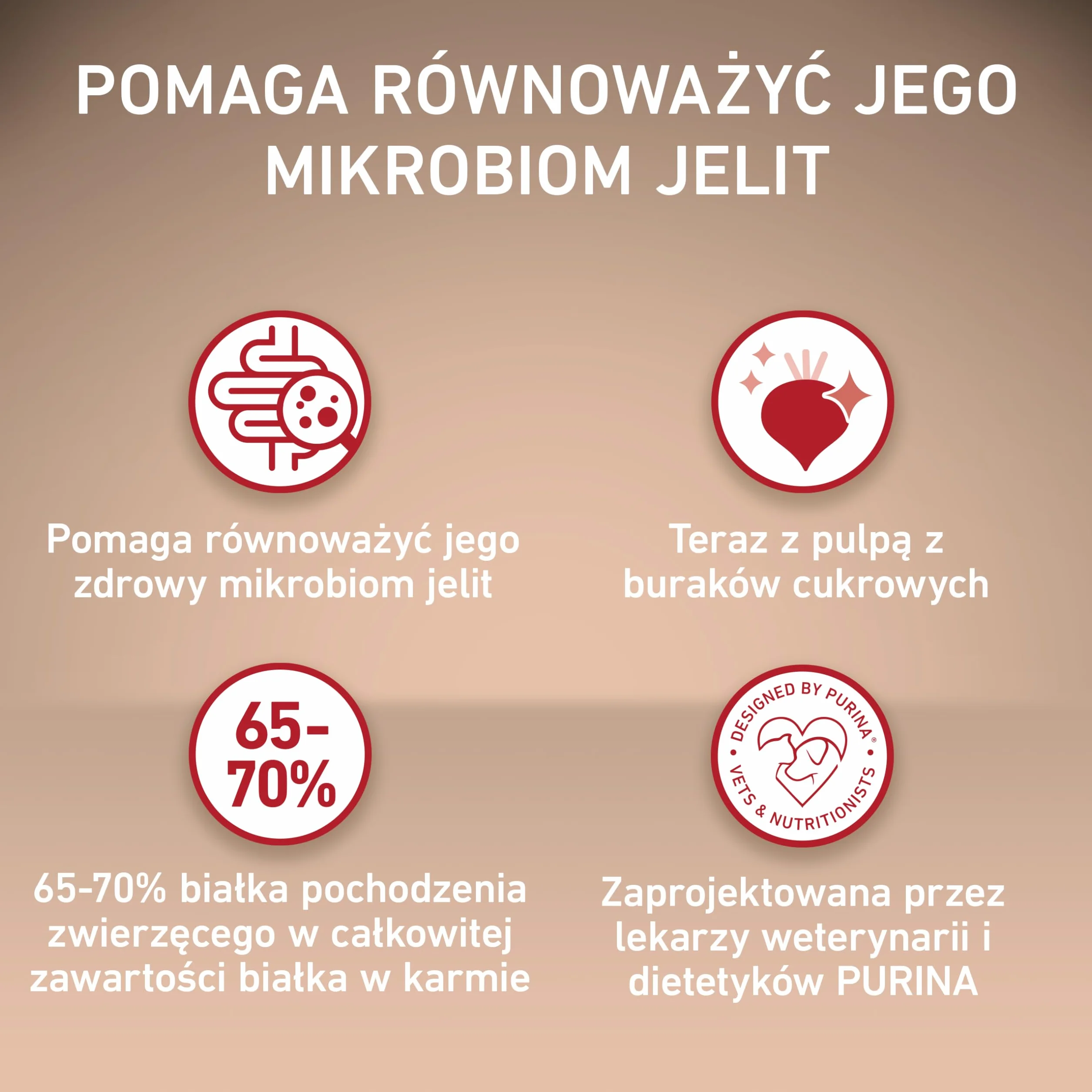 PURINA ONE Mini/Small Delicate karma dla psów sucha dla małych psów, bogata w łososie i ryż, 8 sztuk w opakowaniu (8 x 800 g)
