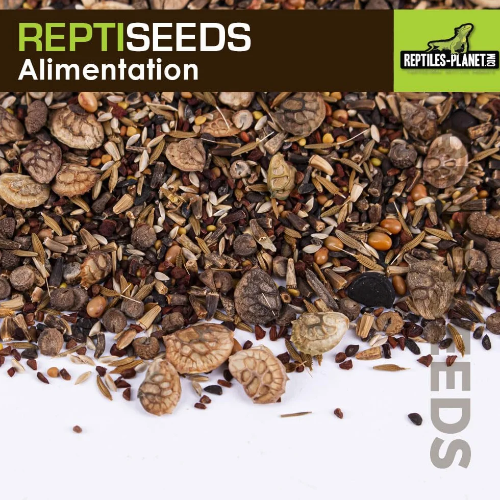 Reptiles Planet - Reptiseeds - Mieszanka nasion kiełkujących żółwia ziemnego - 100g