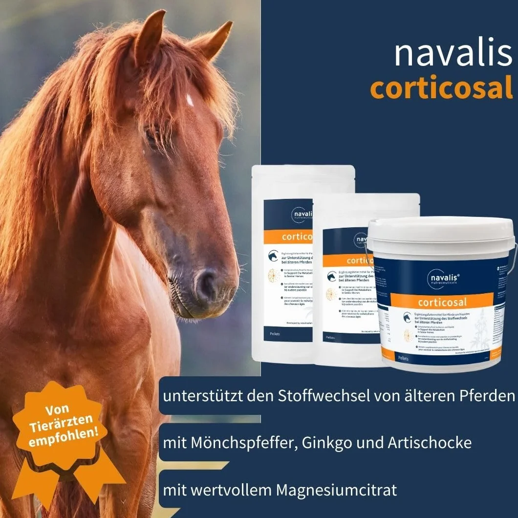 Corticosal Horse Refill worek 2000 g
