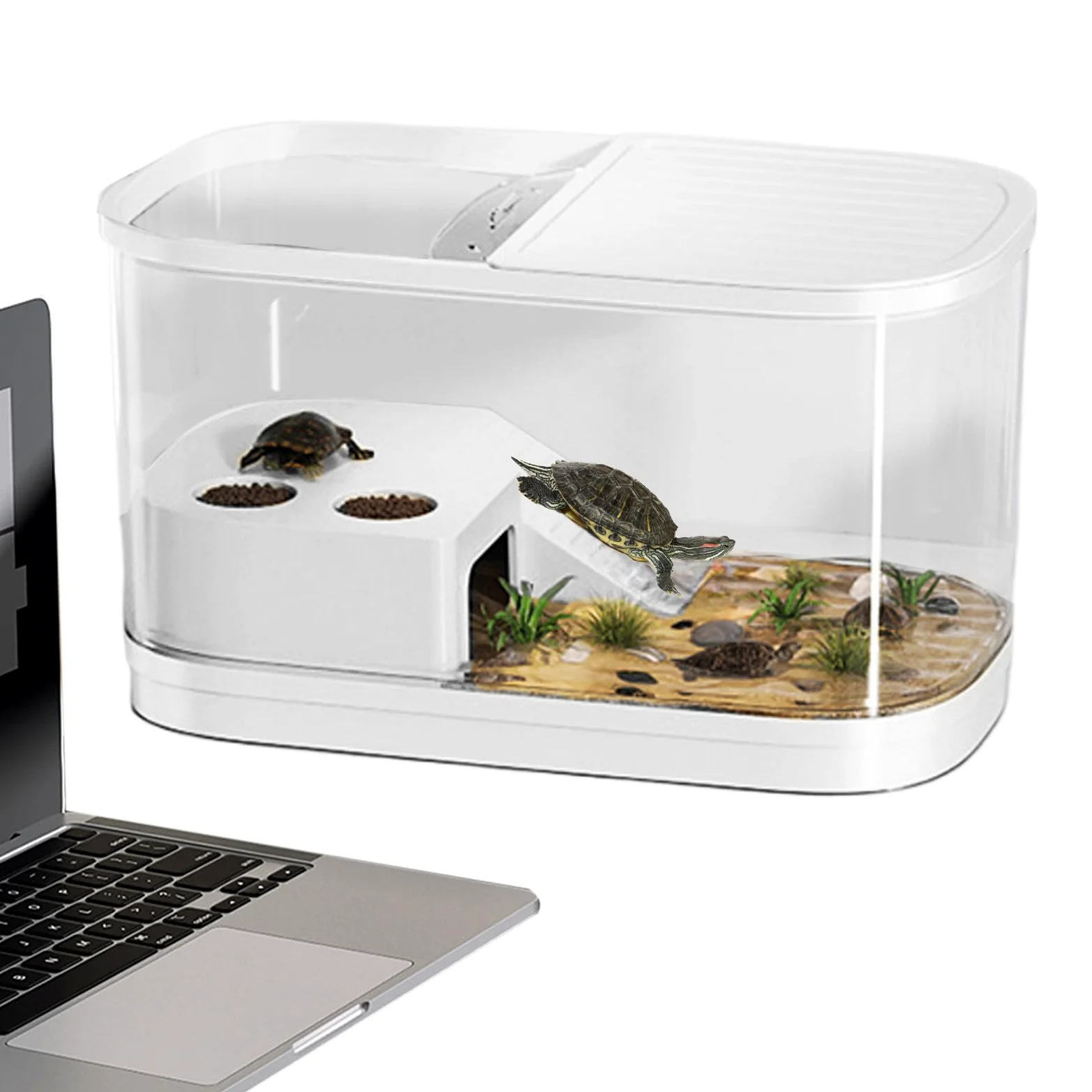 Terrarium dla brodatego | Vivarium dla gadów, pojemnik na ptaszniki, kameleony, brodate , gekony, ?ó?wie, ?aby | Pojemnik siedliskowy do hodowli ptaszników Dla pająków, kameleonów, ptaszników, brodatych smoków, żab, węży, gekonów i żółwi