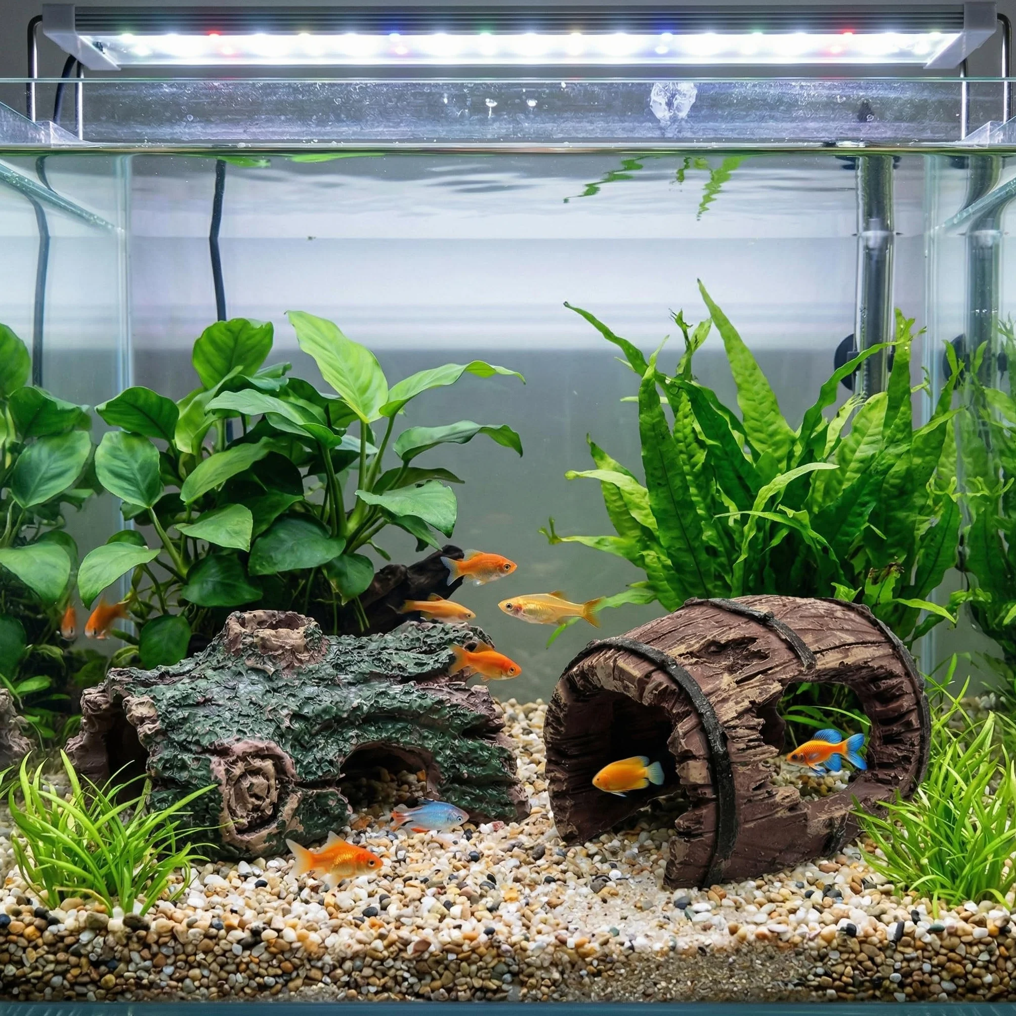 Dekoracje akwarium, 6 szt. kryjówka w akwarium, ozdoba do akwarium, kryjówka dla gadów, żywica, dekoracja akwarium, akwarium, akcesoria, ozdoby do ryb, krewetek