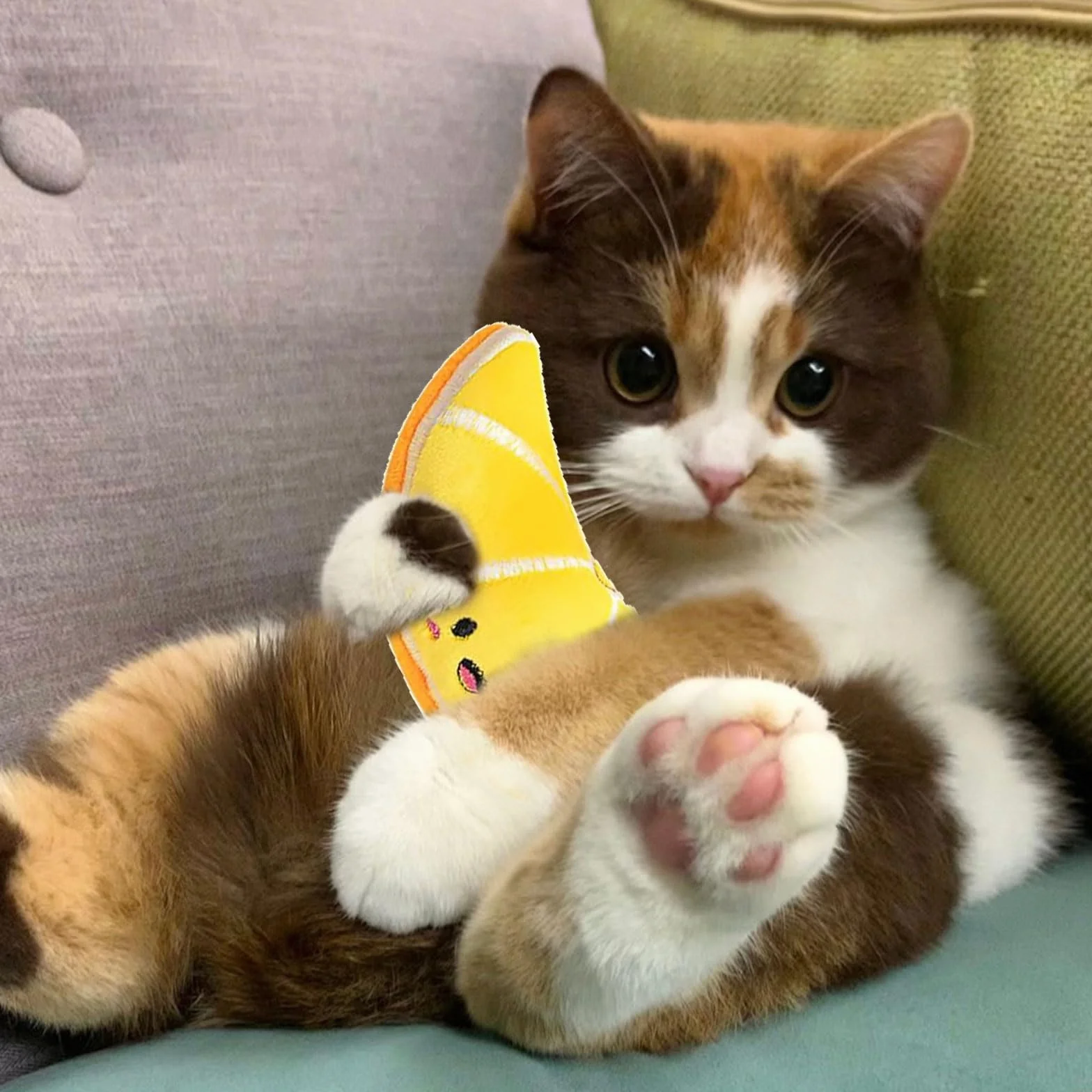 Moguri 4 szt. zabawki z kocimiętką, zabawka dla kota z kocimiętką, zabawka dla kota do samodzielnej zabawy Catnip Toy Cat Toys, poduszka z kocimiętką pluszowa zabawka dla kotów