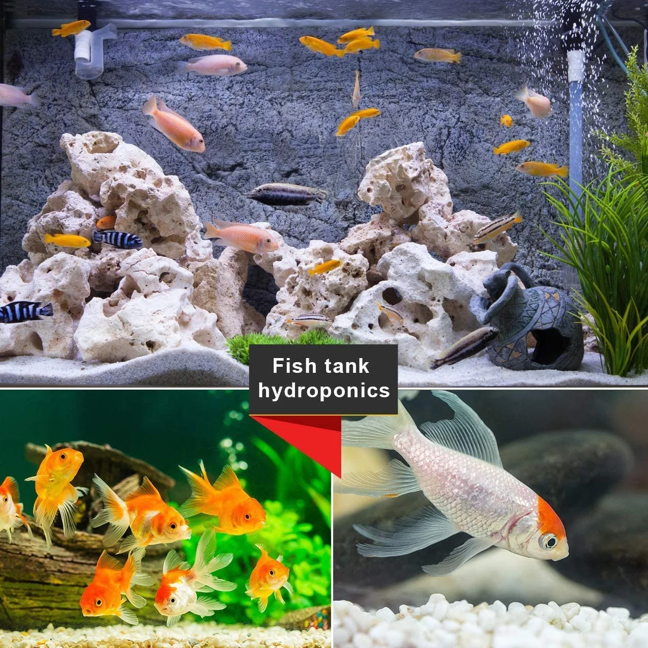 Małe naturalne białe kamyki, 500 g białe kamyki małe kamienie dekoracyjne żwir kamień rzeczny kamień kamień dekoracyjny żwir kamienie do roślin akwarium dekoracje ogrodowe