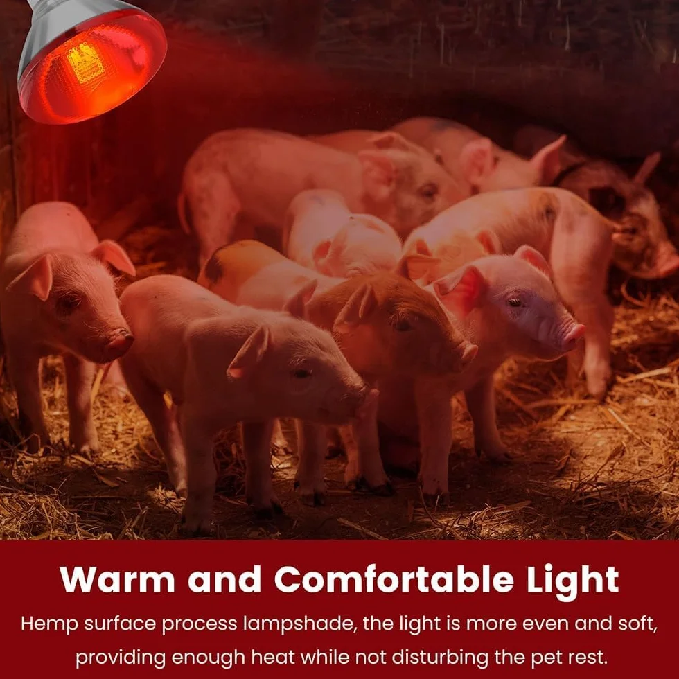 Terrarium dla gadów, 250 W, lampa na podczerwień, E27 Basking Spot do hodowli kur, świń, psów, oświetlenia żywności, łazienki