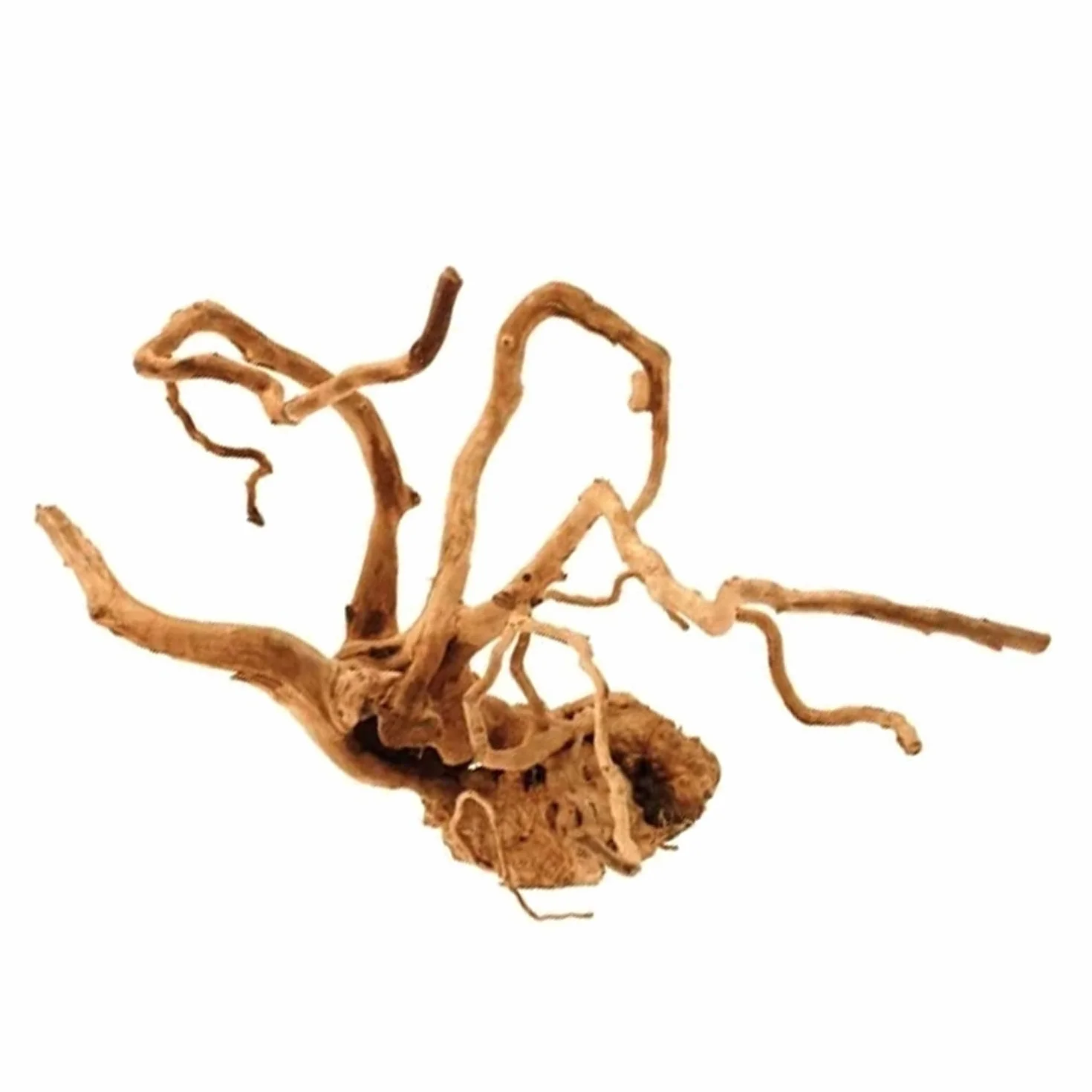 Naturalne drewno Redwood do akwarium Nano Garden Terrarium 15-20 cm
