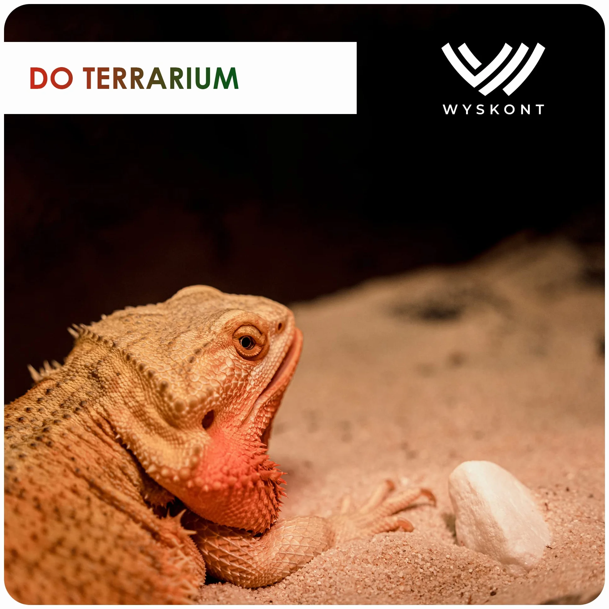 Żwir akwariowy 1kg 3-5mm - Piasek dekoracyjny do akwarium i terrarium