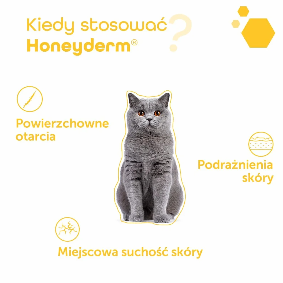 MP Labo Honeyderm® 62 g - balsam regenerujący z 70% zawartością miodu dla psów i kotów - zawiera kwas hialuronowy, witaminy A i E, masło shea, aloes i olejek lawendowy