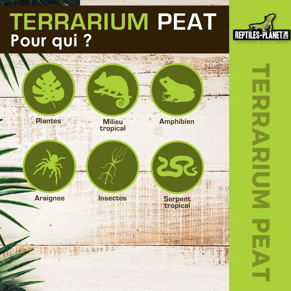 Reptiles-Planet Terrarium podłoże z gadów torfowych, 6 litrów