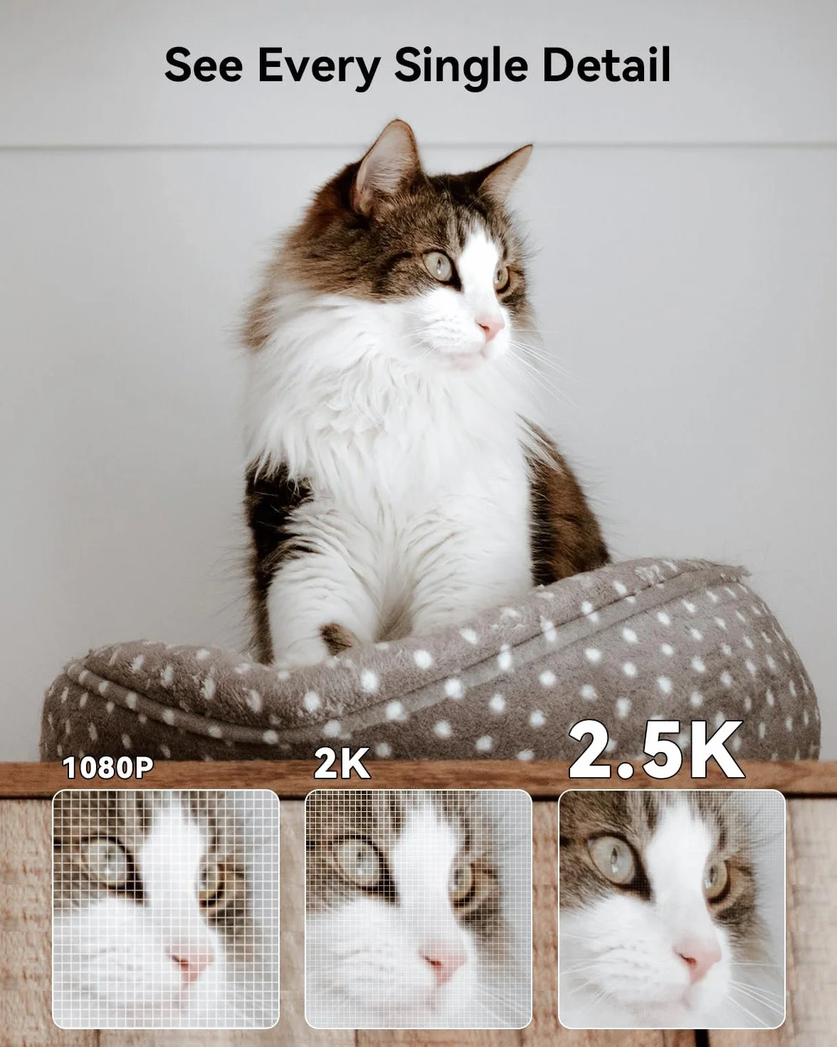 Imou Kamera monitoringowa 2,5 K, do użytku wewnątrz 360°, Wi-Fi, kamera dla niemowląt z AI, rozpoznawanie hałasu/ruchu, widoczność w nocy, kamera do monitoringu psa, aplikacja z dwukierunkowym