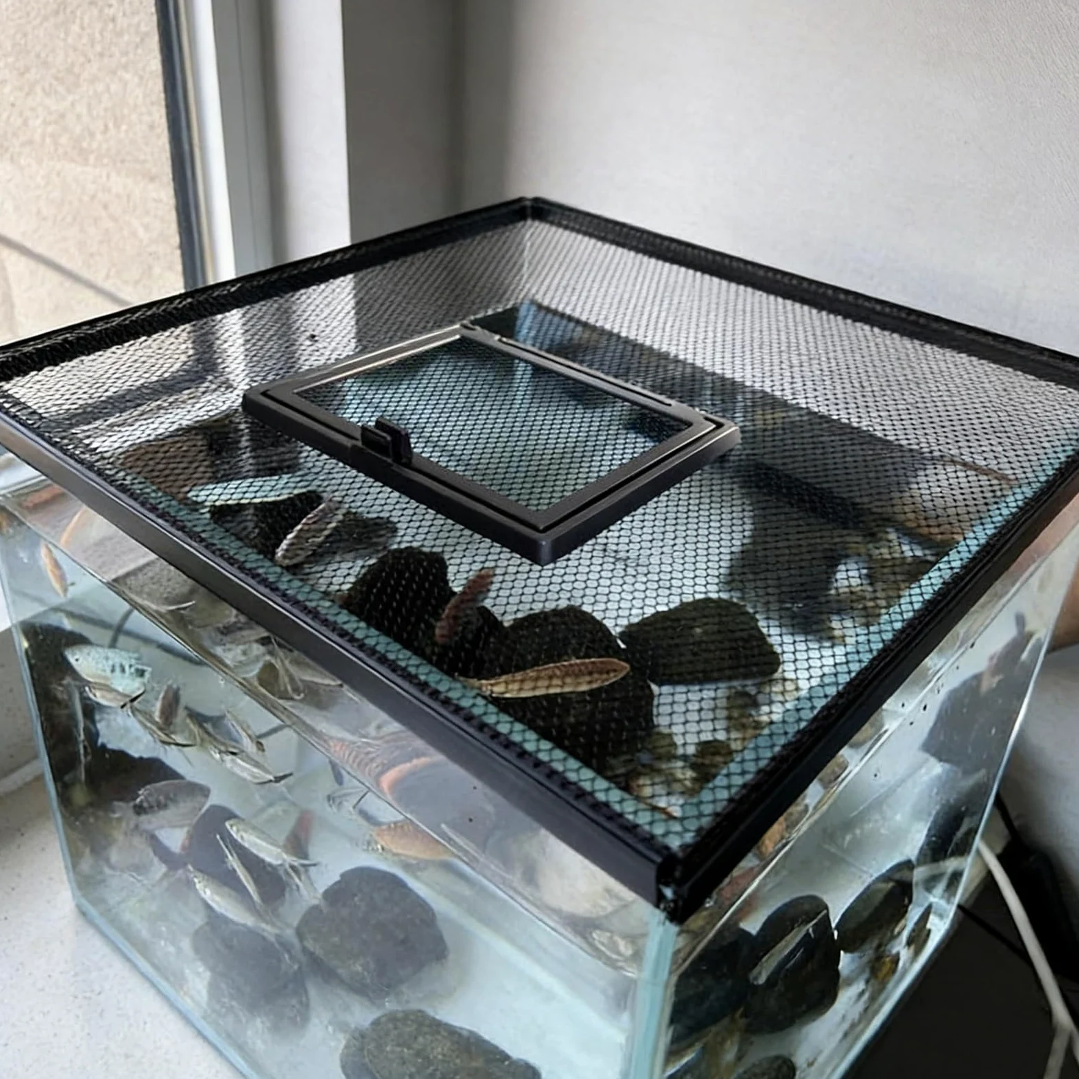 Magnetyczna pokrywa do akwarium z przyłączem do podawania 50 x 30 cm, siatkowa osłona, ochrona przed skokiem, do kapturów akwarium, rozwiązanie bezpieczeństwa ryb