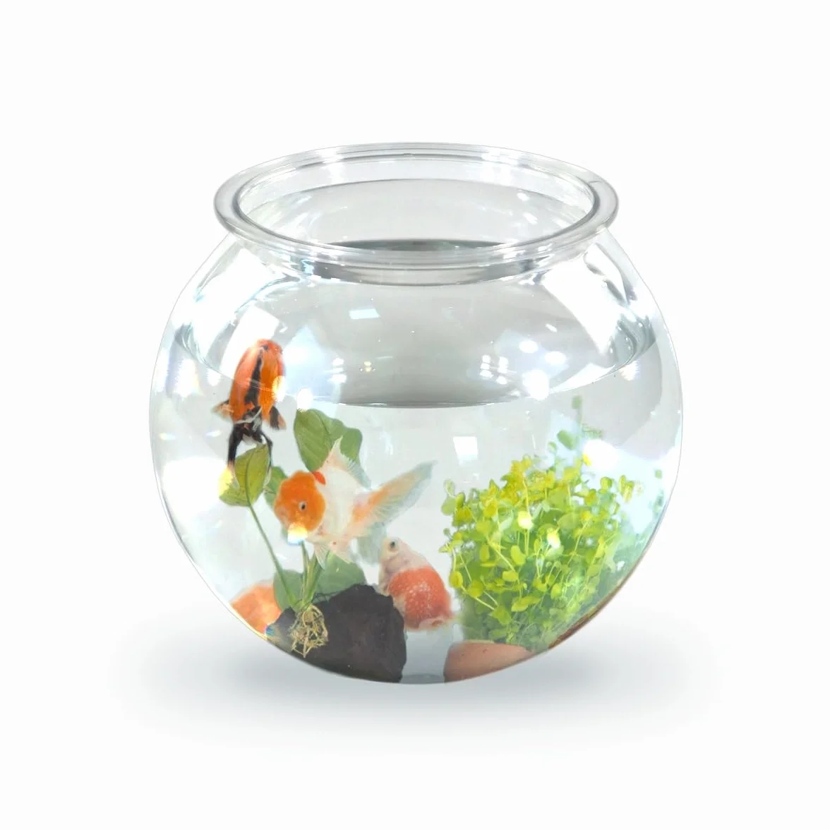 Mobiclinic® pets, Mał okrągł akwarium, Nemo, 4 litry, Plastik pet eco, Przezroczysty design, 20x20x17, 5cm, Łatwe do czyszczenia, Wytrzymałe, Idealne dekoracji domowej, Rośliny wodne