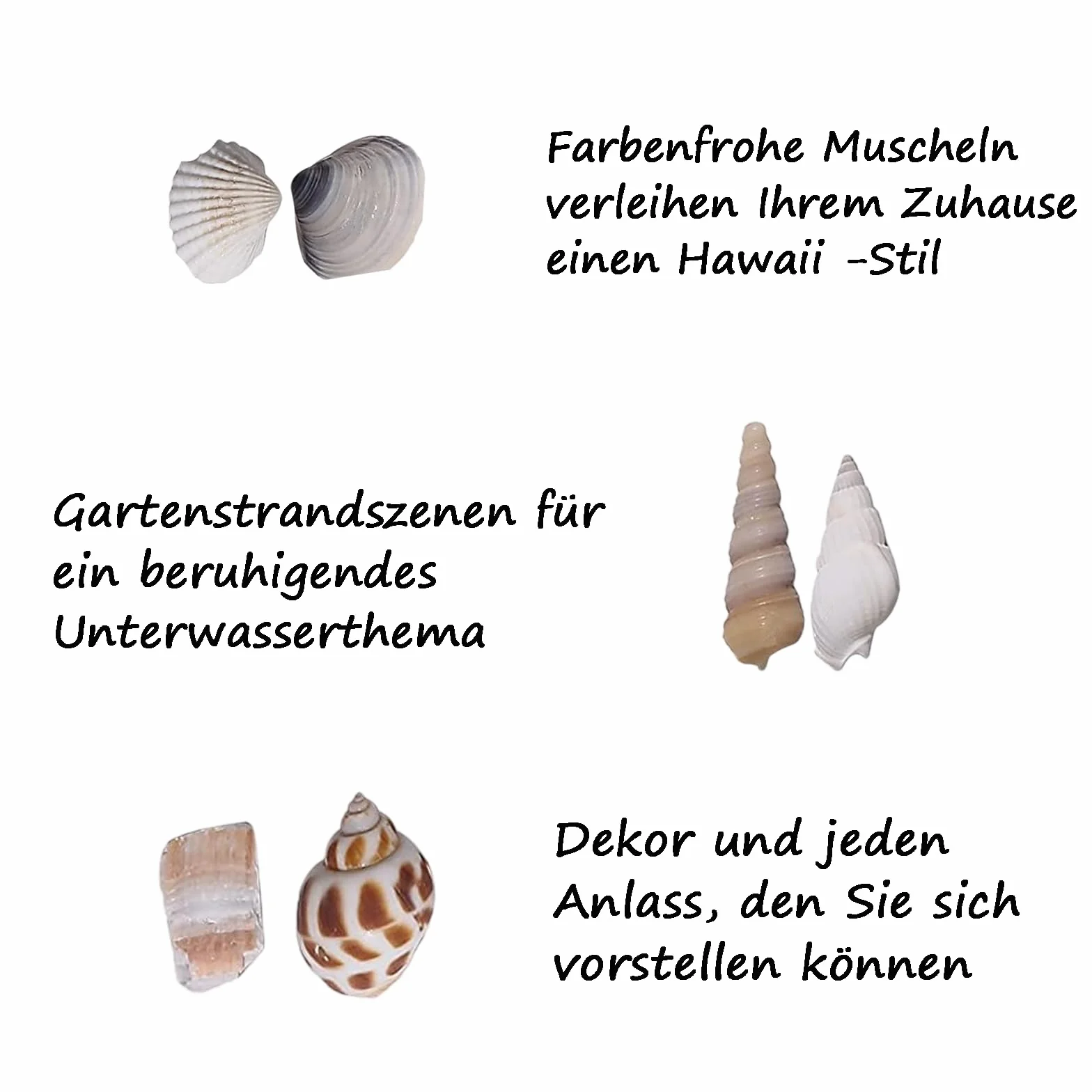 150-200 sztuk mieszane muszle, muszle plażowe, muszle morskie, mieszane muszle oceaniczne, plażowe, dekoracja weselna, akwarium, wypełniacz wazonu