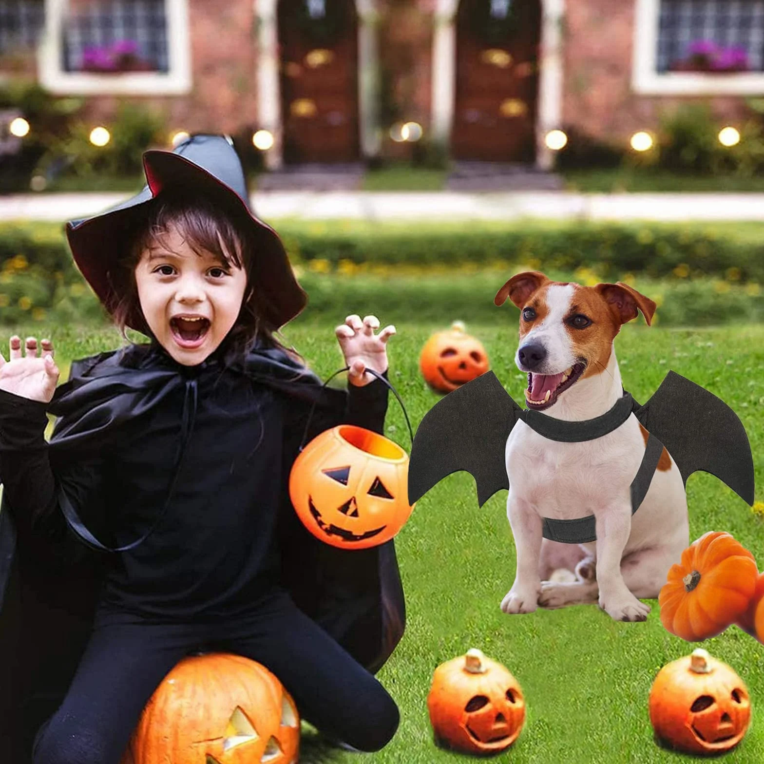 skrzydła psa, kostium nietoperza na Halloween, kostium dla zwierząt domowych, czarne skrzydła nietoperzy, kostium na Halloween, akcesoria dla psów, przebranie na imprezę śmieszne, fajna