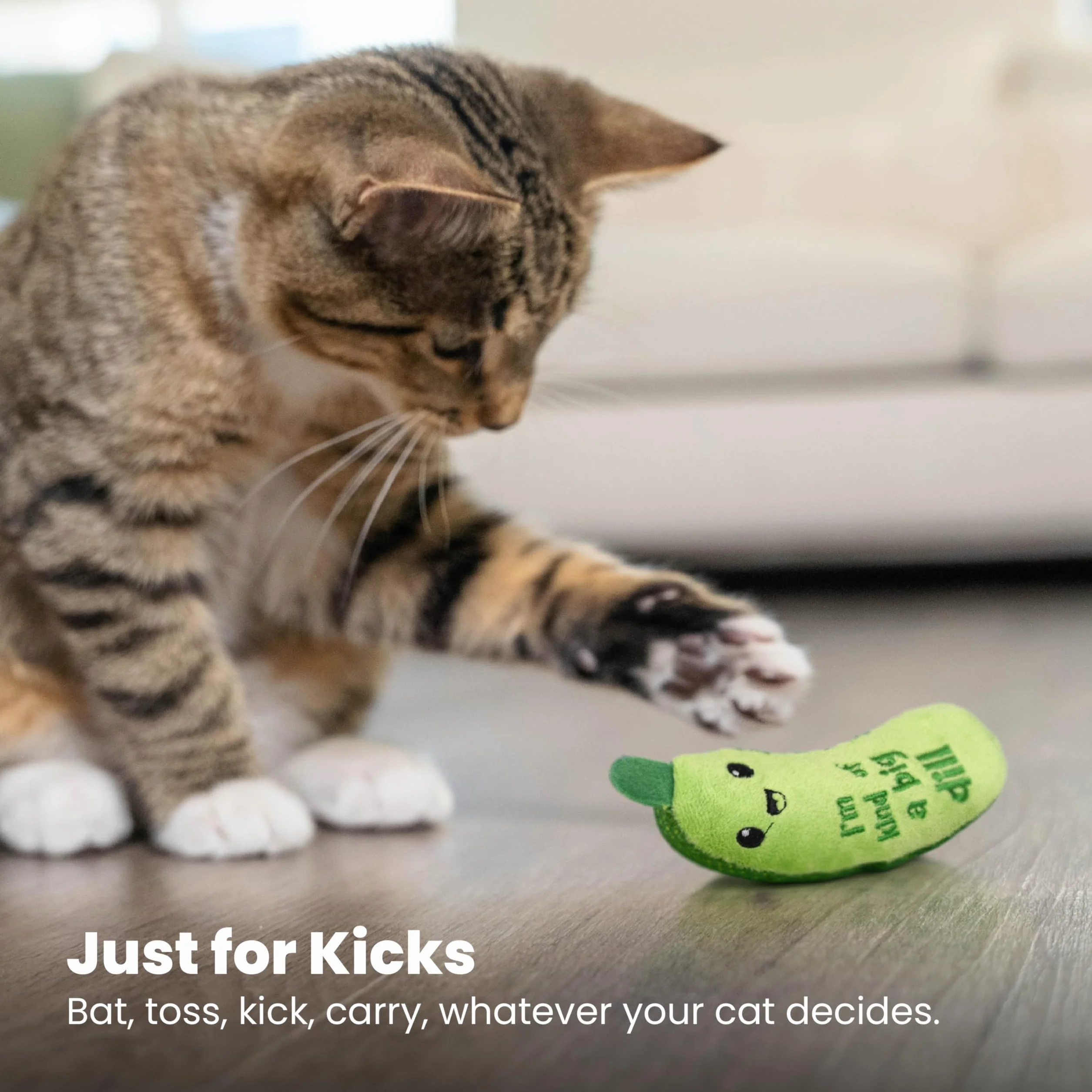 Petstages Crunchy Pickle Kicker Dental Catnip zabawka dla kota
