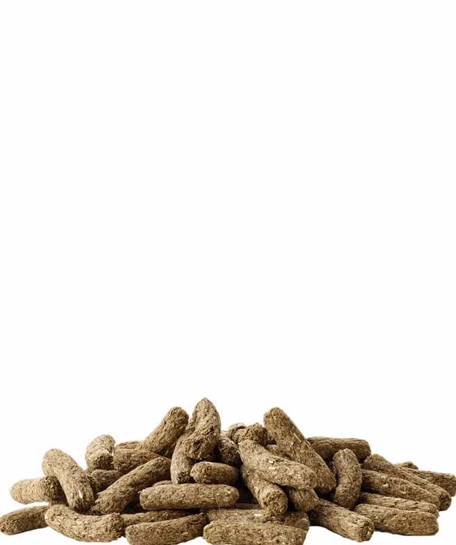 Versele-Laga Complete Cuni Adult | dwupak, 2 x 500 g, pełnoporcjowa karma dla dorosłych królików, smaczne granulki All-in-One, z długimi włóknami i ziołami