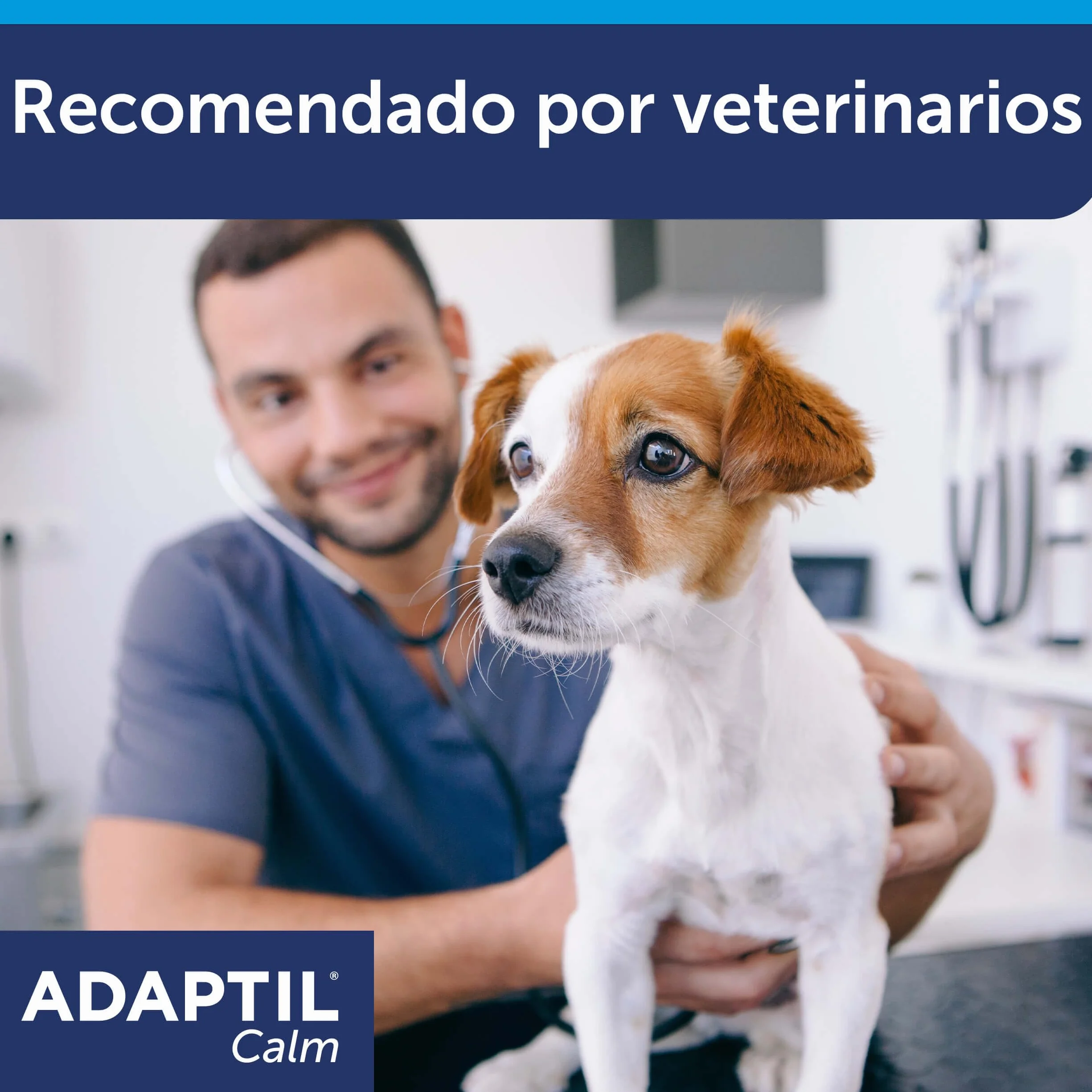 CEVA Adaptil Calm - antystresowy dla psów - lęki, głośne dźwięki, nauka, adopcja - obroża S dla małych psów