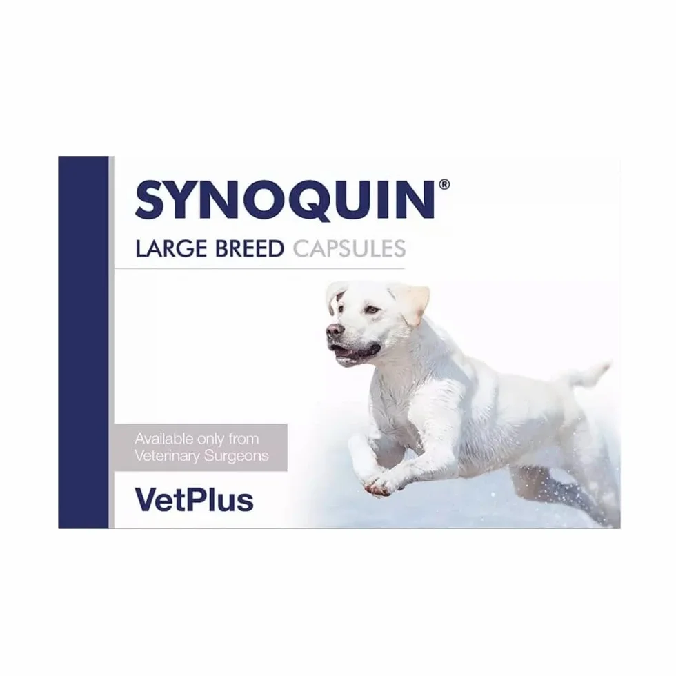 VetPlus Synoquin - kapsułki dużych ras - 30 kapsułek