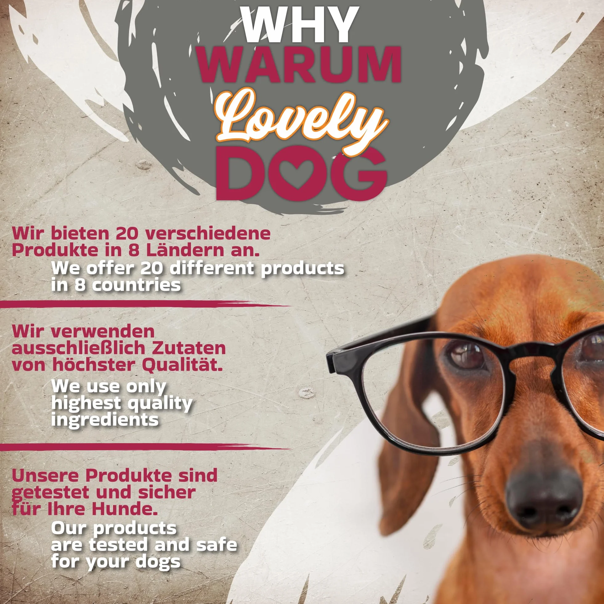 Zestaw 10 naturalnych uszu wołowych z muszlą dla psów – wzmocnienie zdrowia i higieny jamy ustnej psa